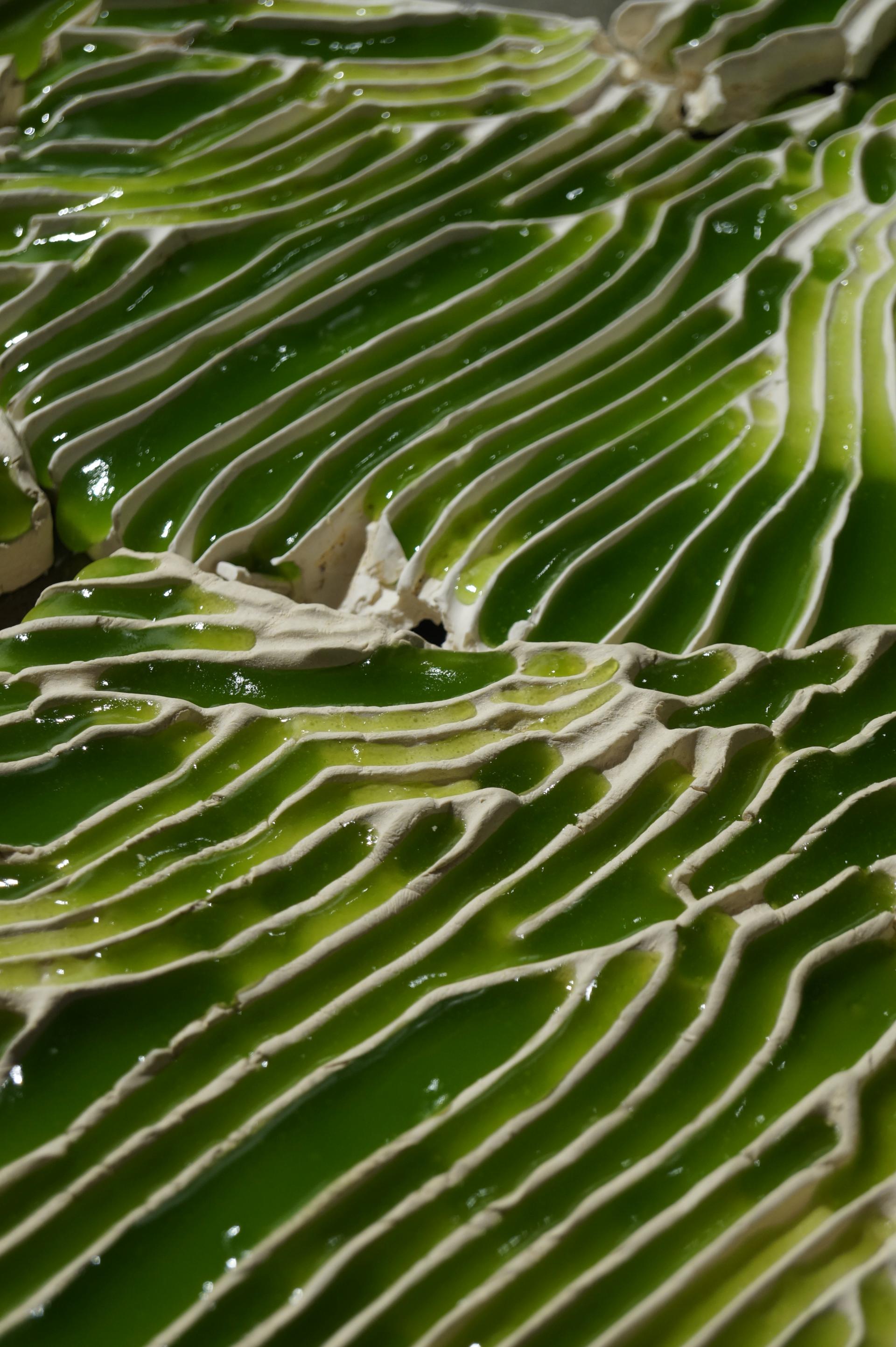 The Indus Project: Innovative tile-based bioremediation.