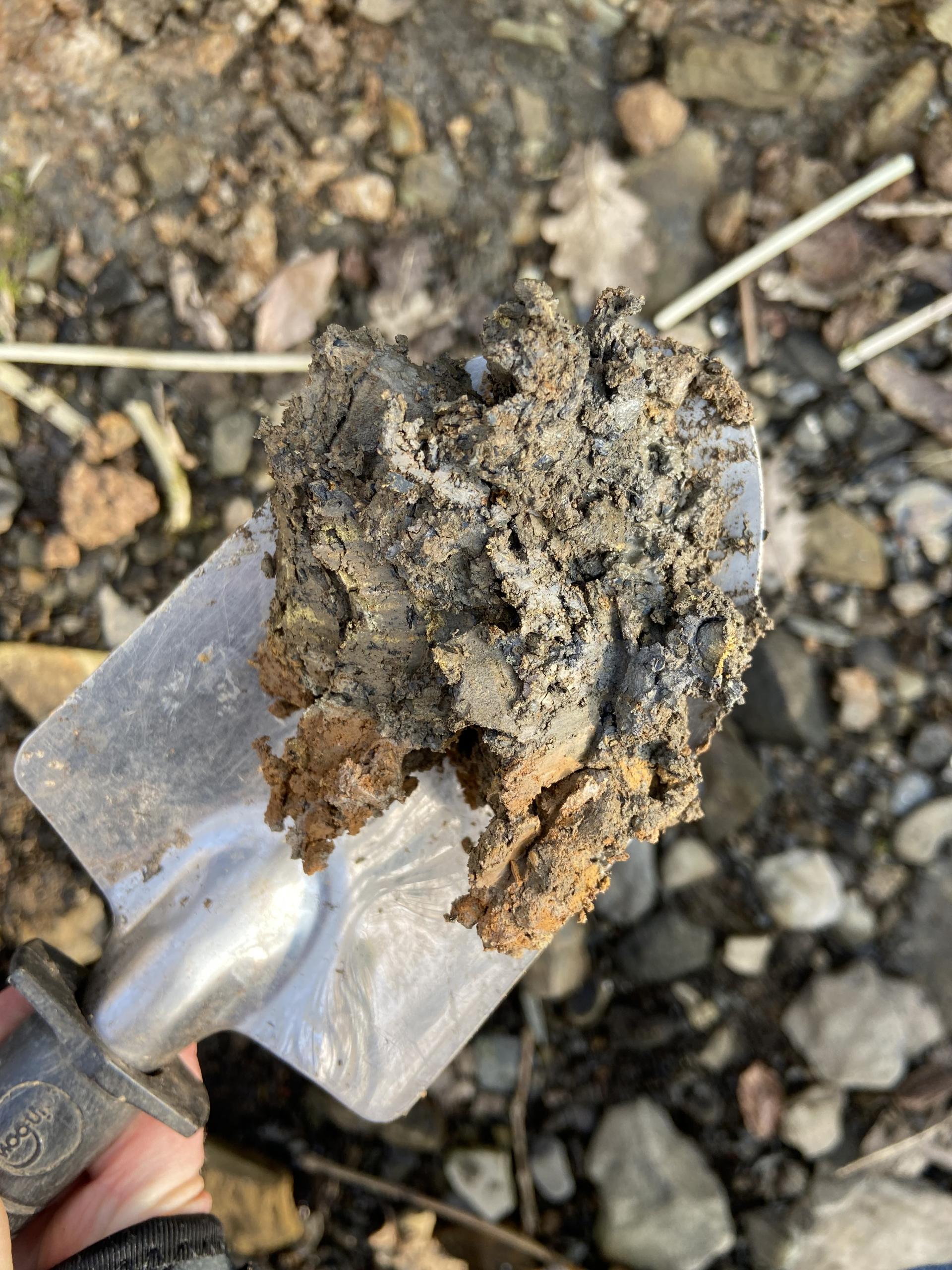 Sculptor Georgie Gerrard holds a shovel with clay for her environmentally-inspired art project in nature.
