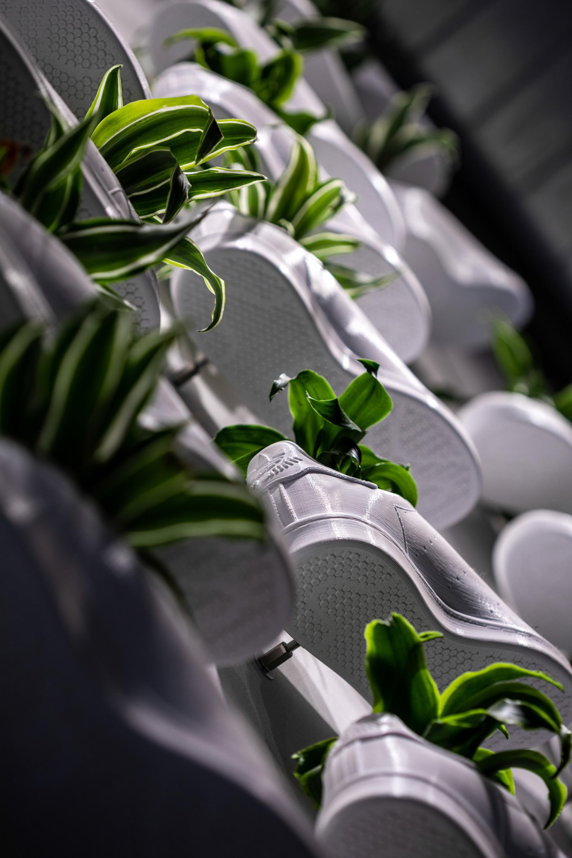 Sustainable display of white Adidas sneakers with vibrant green plants, highlighting eco-friendly design at London's flagship store.