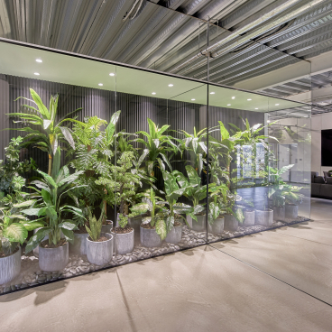 Bespoke meeting space featuring a glass-enclosed plant room, showcasing lush greenery for enhanced wellbeing at MKI HQ.