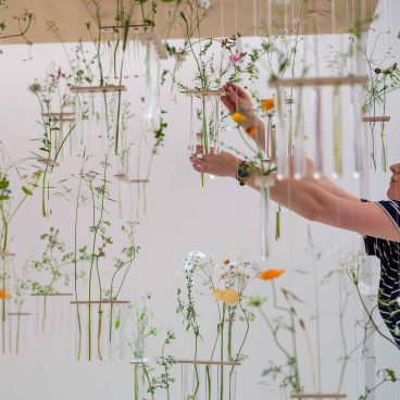 British artist Charlotte Smithson arranges suspended test tubes filled with flowers in her Manchester studio, showcasing her connection to nature.