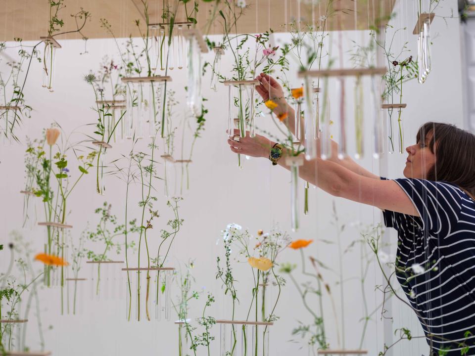 British artist Charlotte Smithson arranges suspended test tubes filled with flowers in her Manchester studio, showcasing her connection to nature.