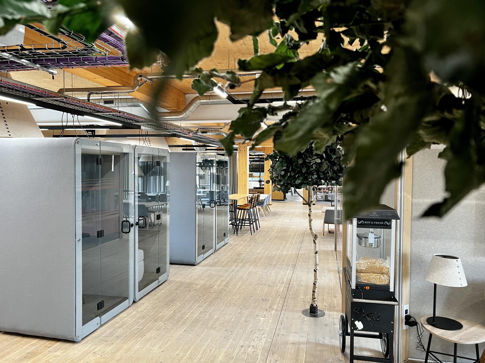 Modern net zero carbon workspace featuring collaborative spaces, glass-enclosed booths, and greenery for a sustainable environment.