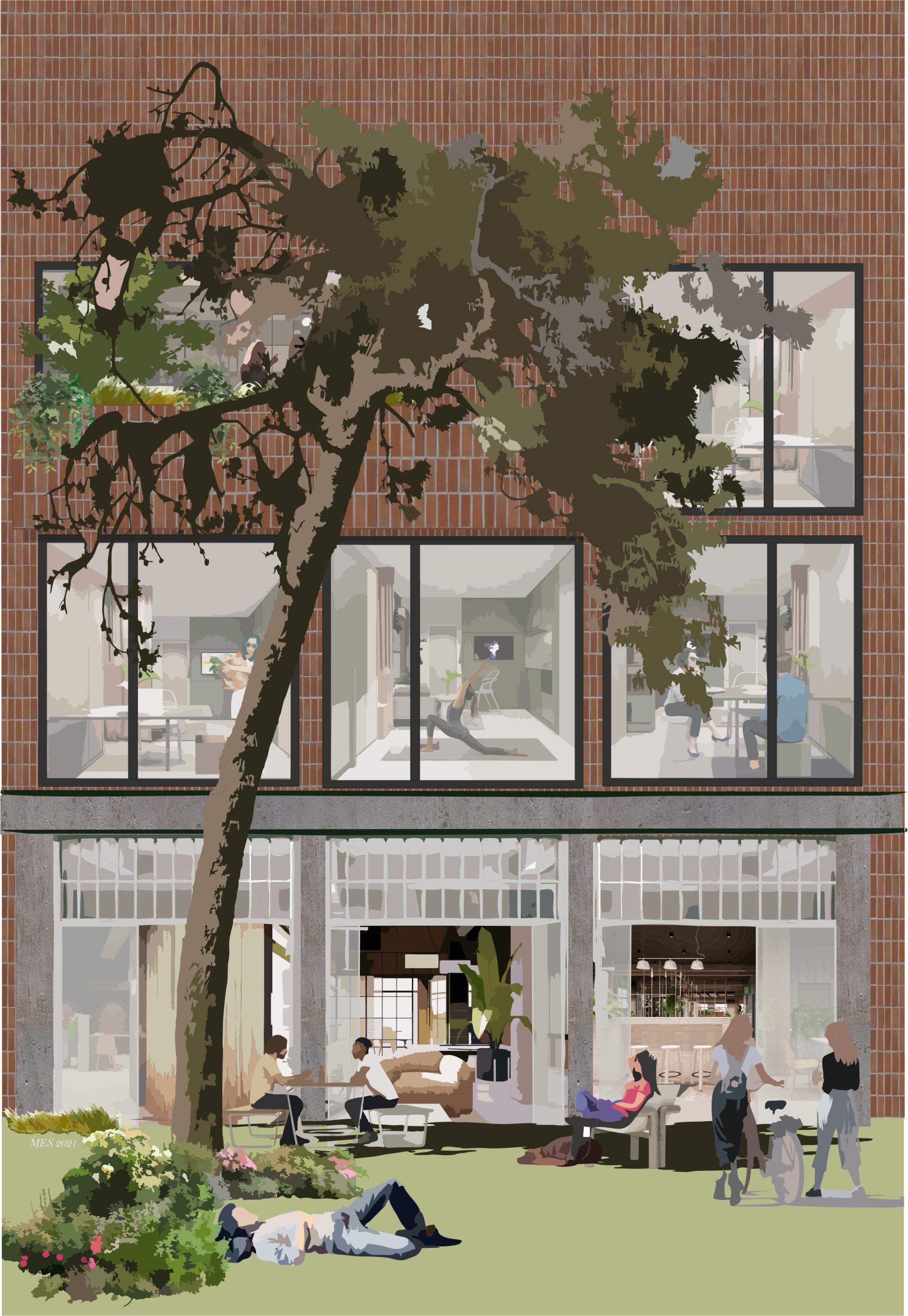 Co-living space featuring communal areas, residents engaging, and a large tree, showcasing modern shared living concepts.