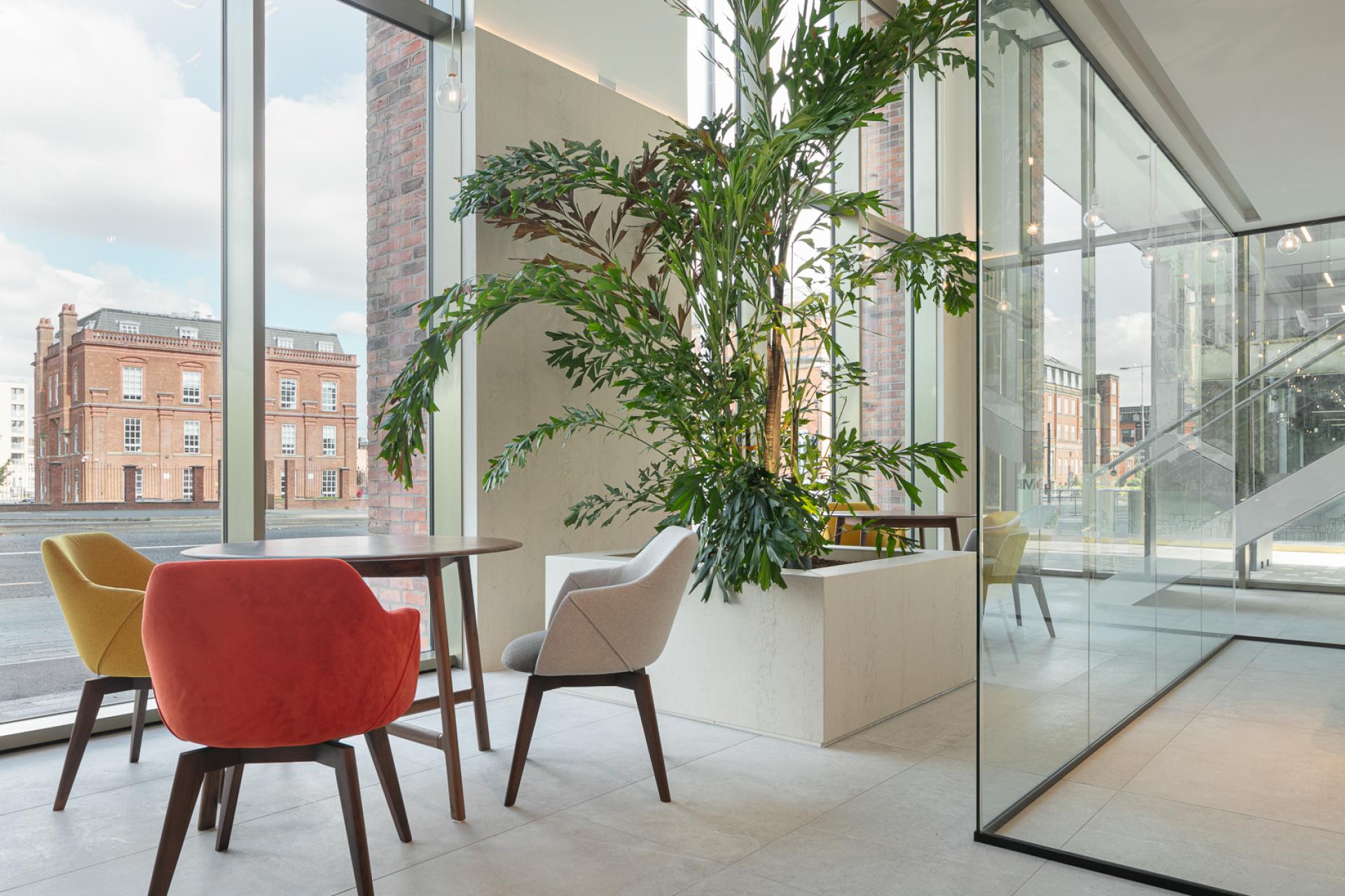 Modern showroom interior featuring stylish seating and lush greenery, designed by Studio Power with Dekton surfaces in Manchester.