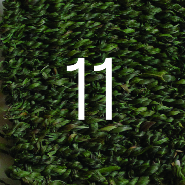 Textured green grass material background with the number 11, representing Hannah Elisabeth Jones' focus on sustainable biomaterials.