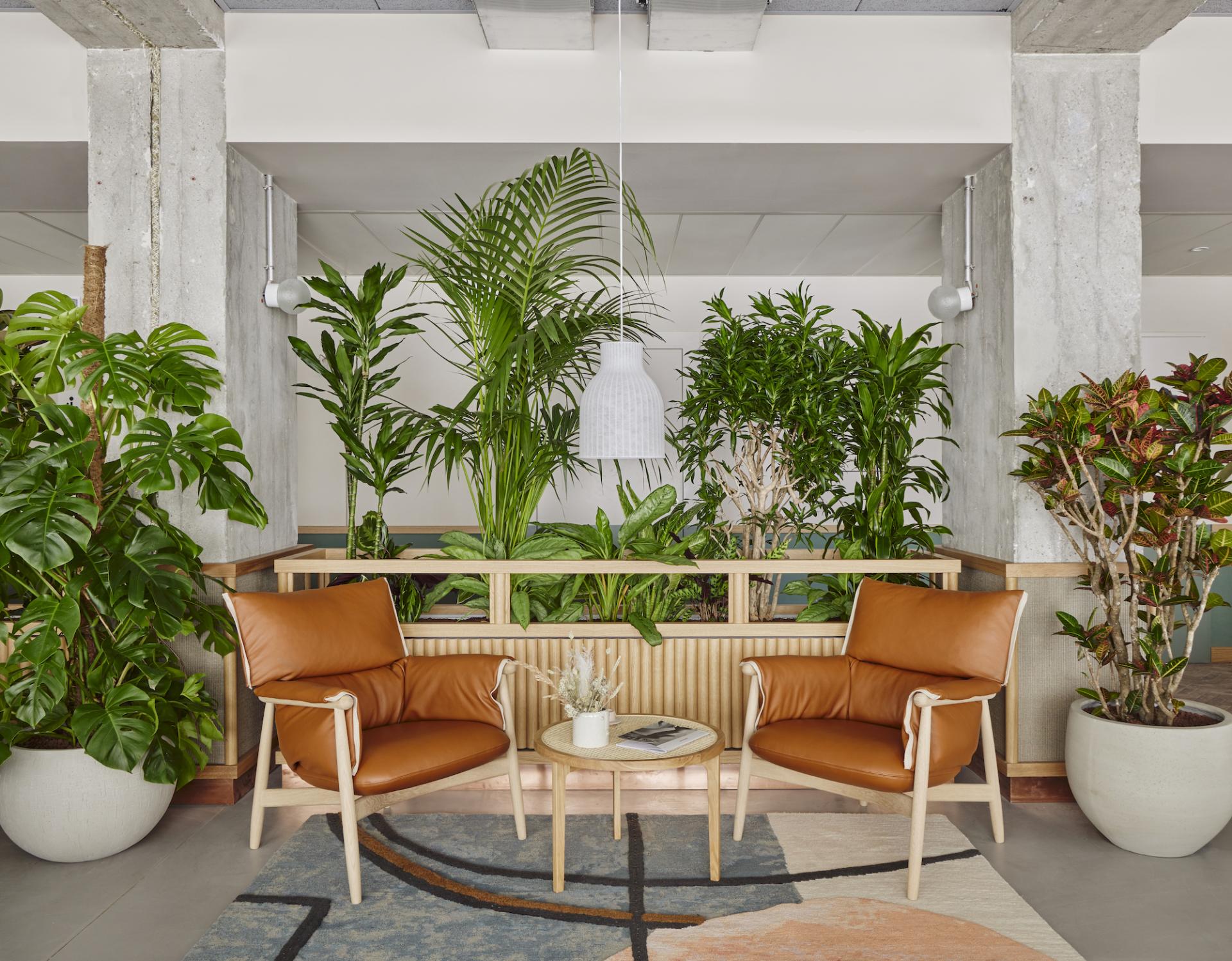 Stylish lounge area at WunderLocke in Munich featuring modern leather chairs, plants, and contemporary decor.