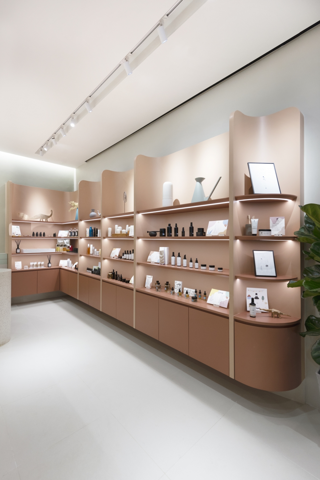 Bean Buro - Retail - Beautysaur Organics.