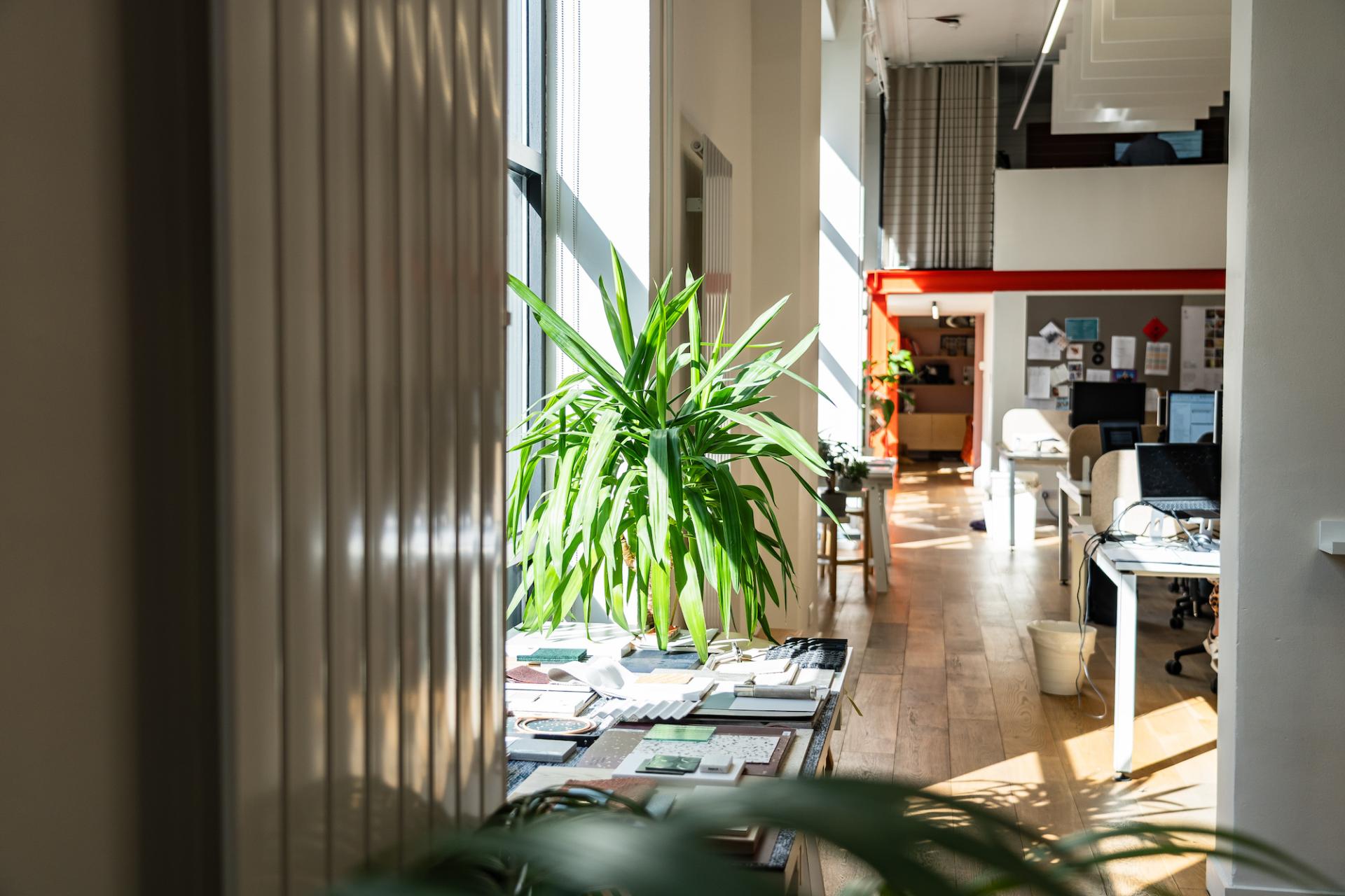 In Practice: With MLA Glasgow.