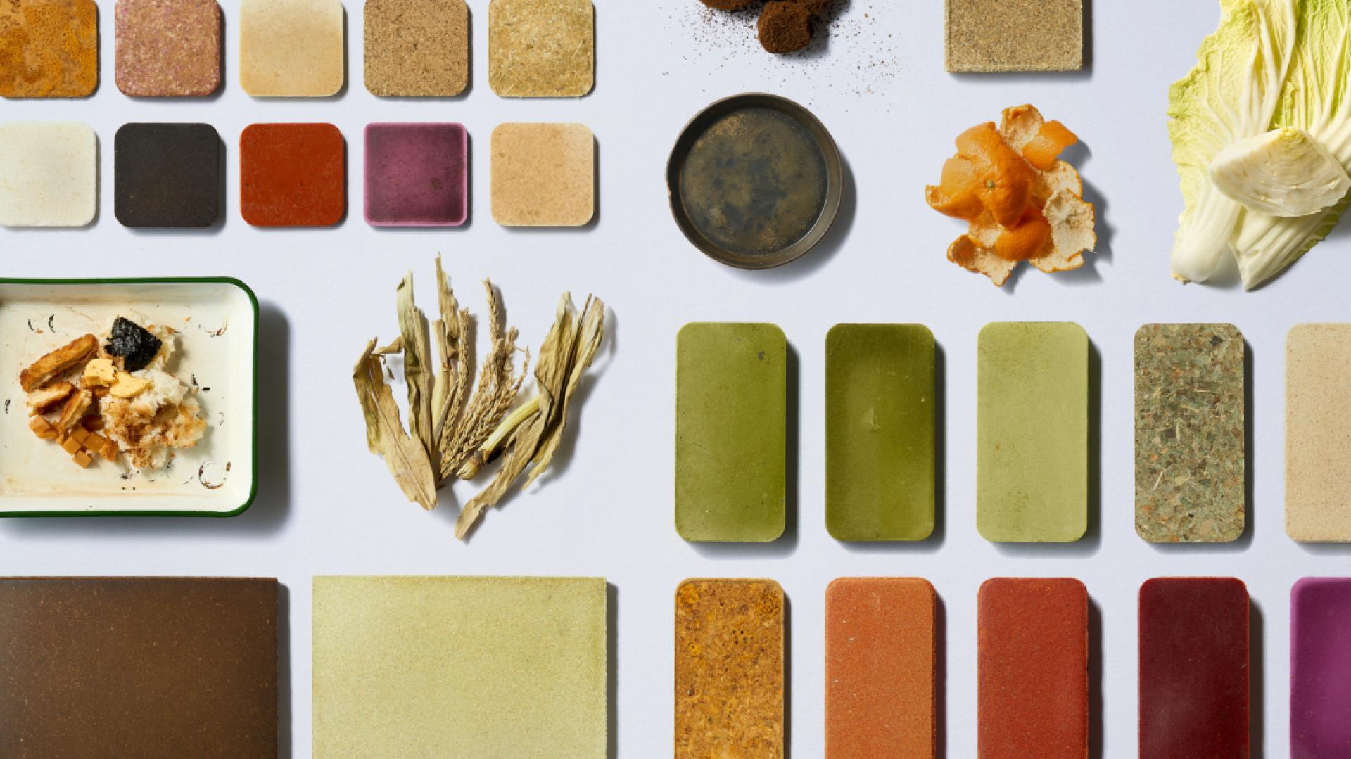 Colorful sustainable materials and organic food samples arranged on a white background, showcasing innovation in sustainability projects.