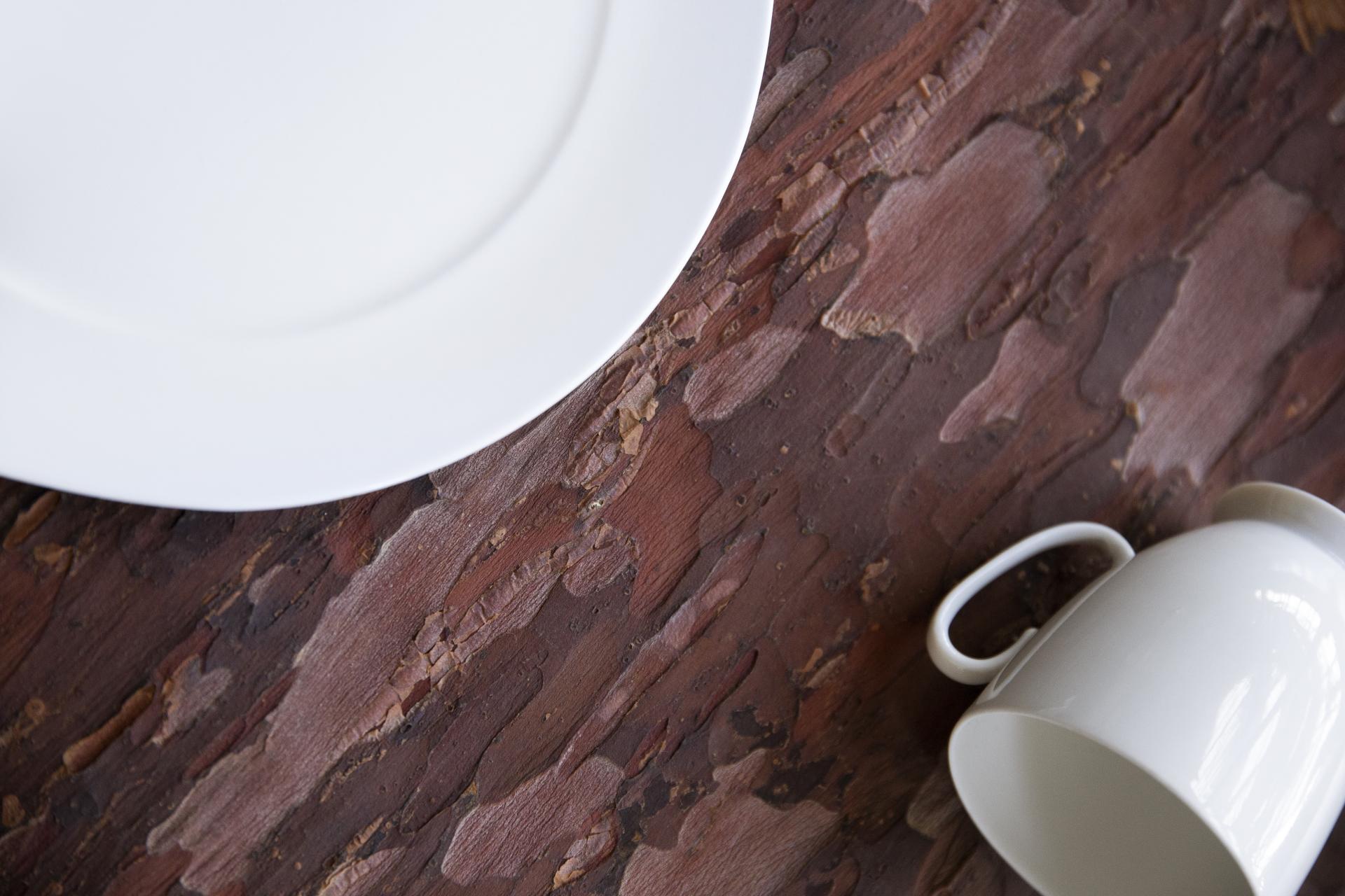 Elegant white plate and cup arranged on a textured wood surface, highlighting sustainable design in biomaterials.