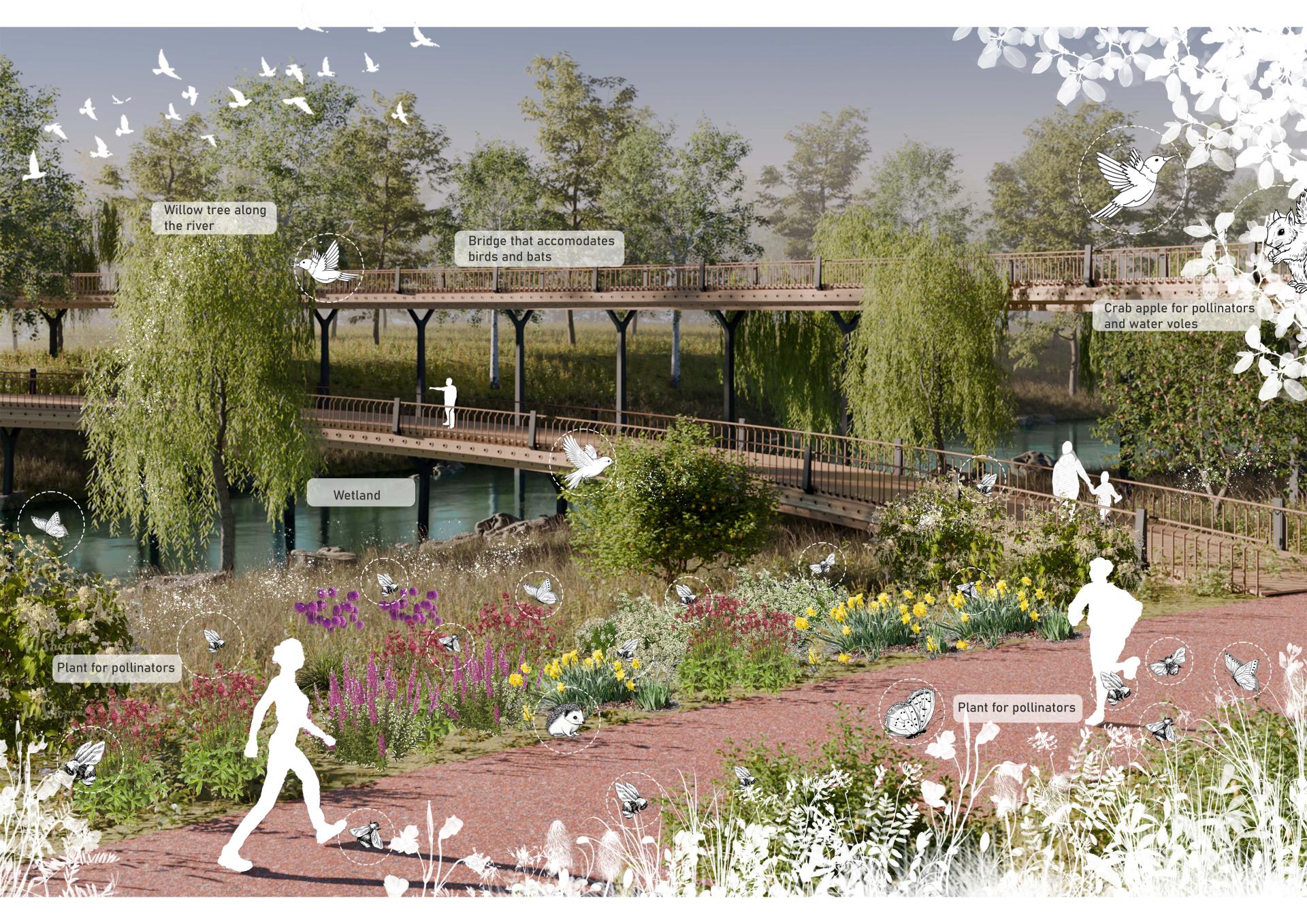 Lush green landscape featuring a winding bridge, diverse plant life, and people enjoying nature at Manchester School of Art.