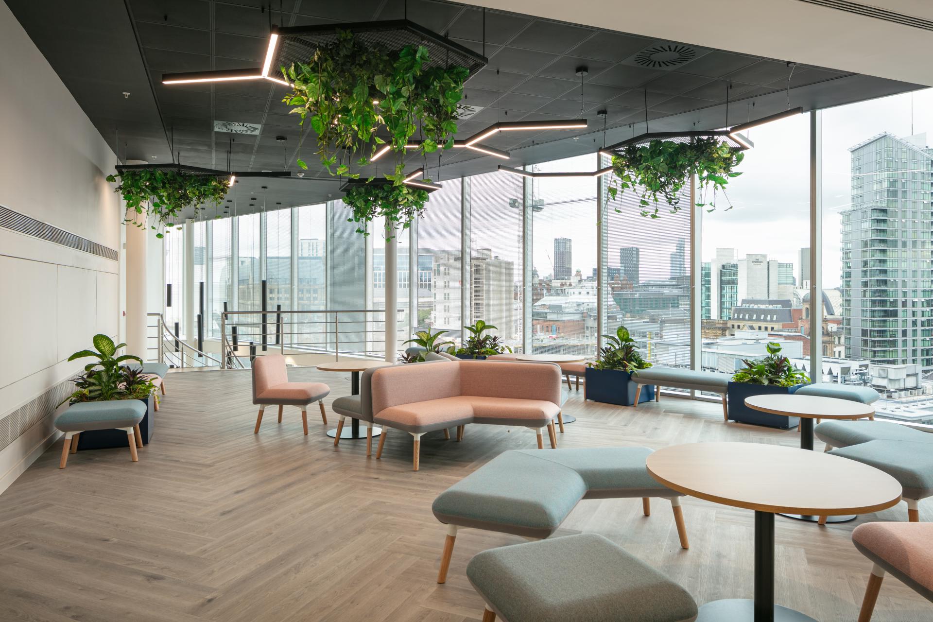 Modern office interior featuring plants, stylish seating, and large windows, reflecting Michael Laird Architects' design ethos in Manchester.