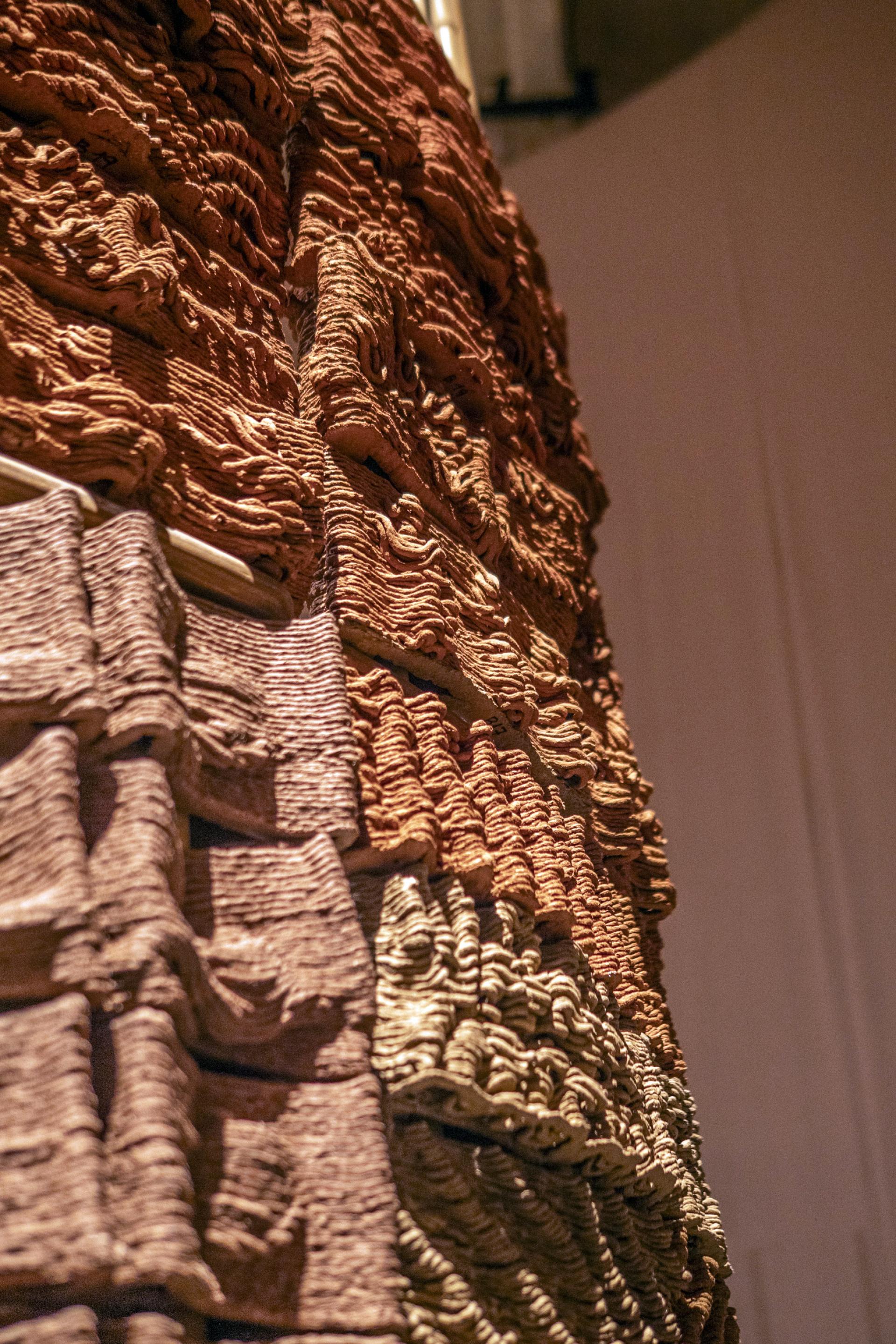 Lola Ben-Alon, assistant professor, Columbia University & director, Natural Materials Lab.