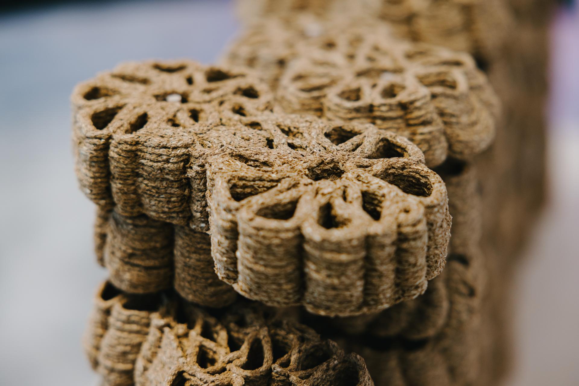 Lola Ben-Alon, assistant professor, Columbia University & director, Natural Materials Lab.