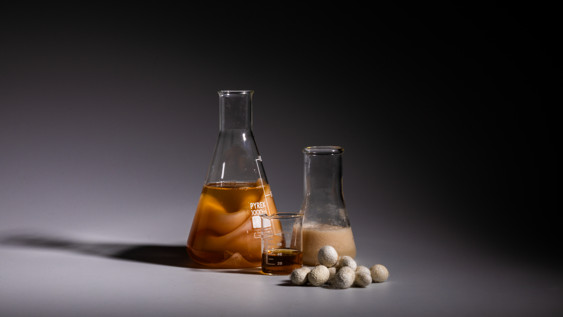 From regenerative tartans to silk-based architectural biobinders. Our 2026 graduate highlights.