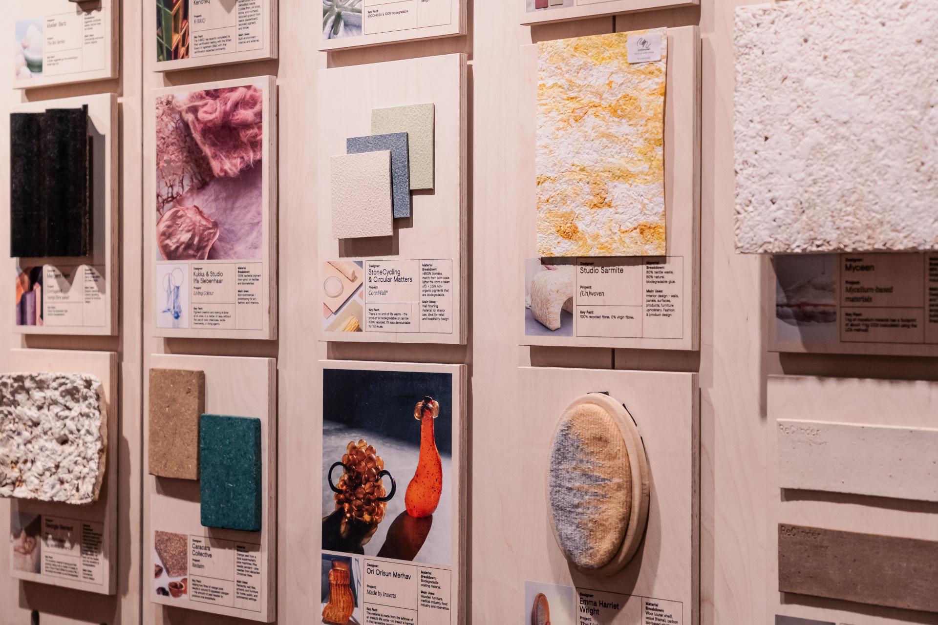 Variety of sustainable materials showcased on a wall at Material Source Studio, highlighting circular design concepts and innovations.