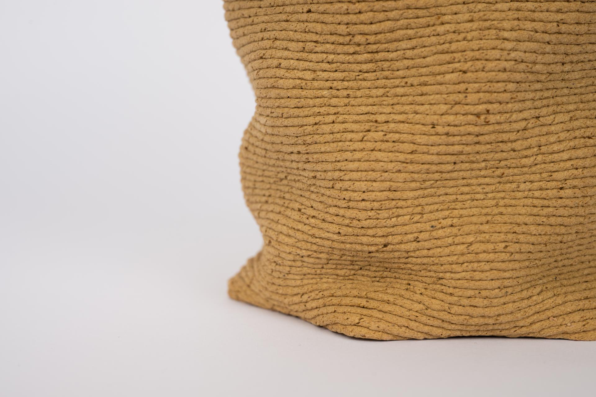 3D printed sculpture showcasing textured layers, illustrating innovative techniques in construction and design for 2024 projects.