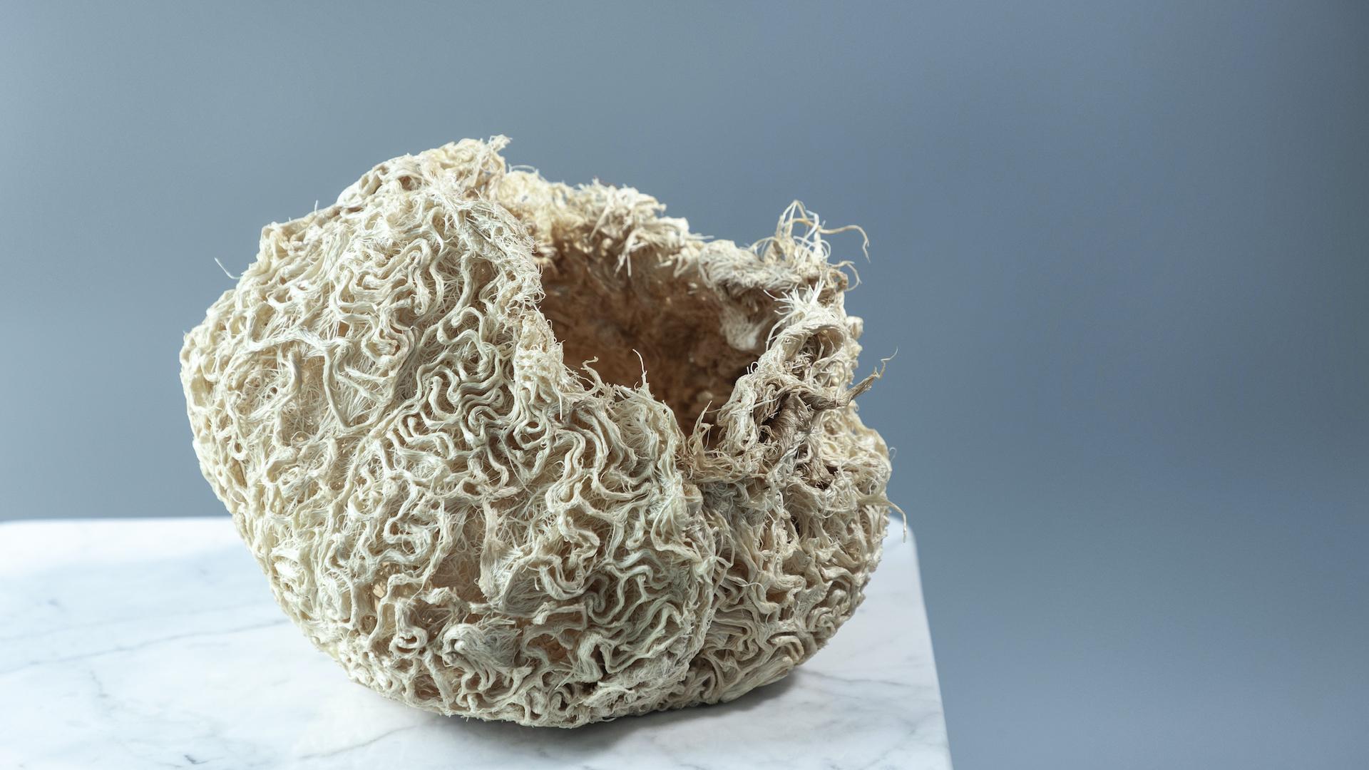 Textured organic vessel showcasing innovative design at the London Design Festival 2022, symbolizing sustainability and creativity.