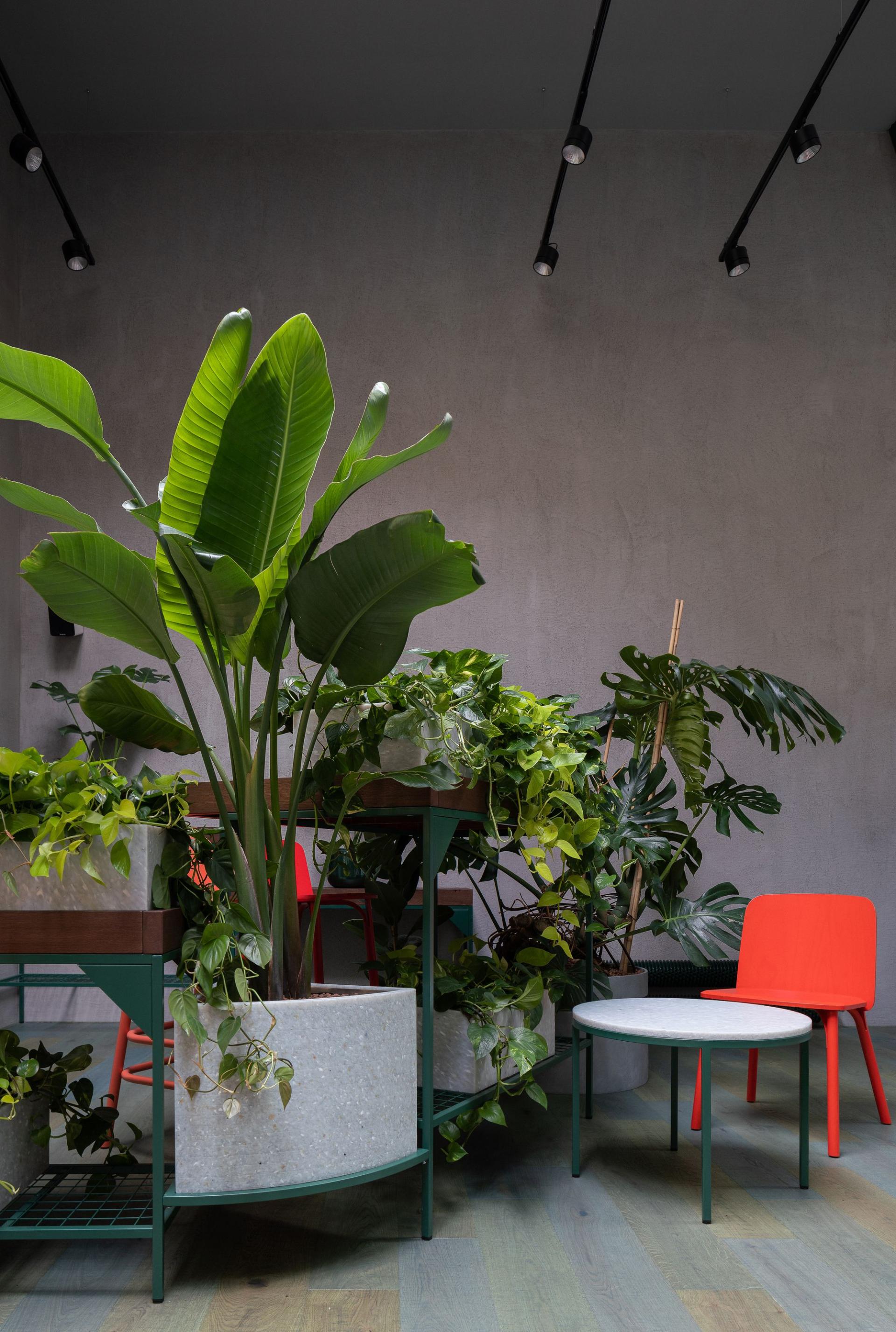 Lush indoor plants surround modern furniture in a sustainable design space, highlighting eco-friendly materials and innovative solutions.