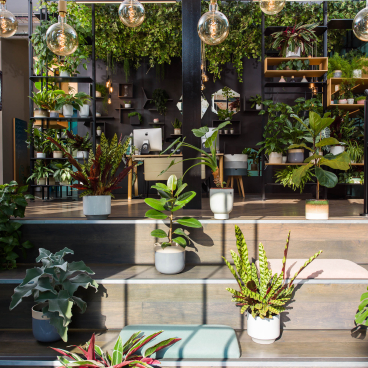 Modern workplace design featuring greenery, stylish lighting, and an inviting staircase, promoting flexible working environments.