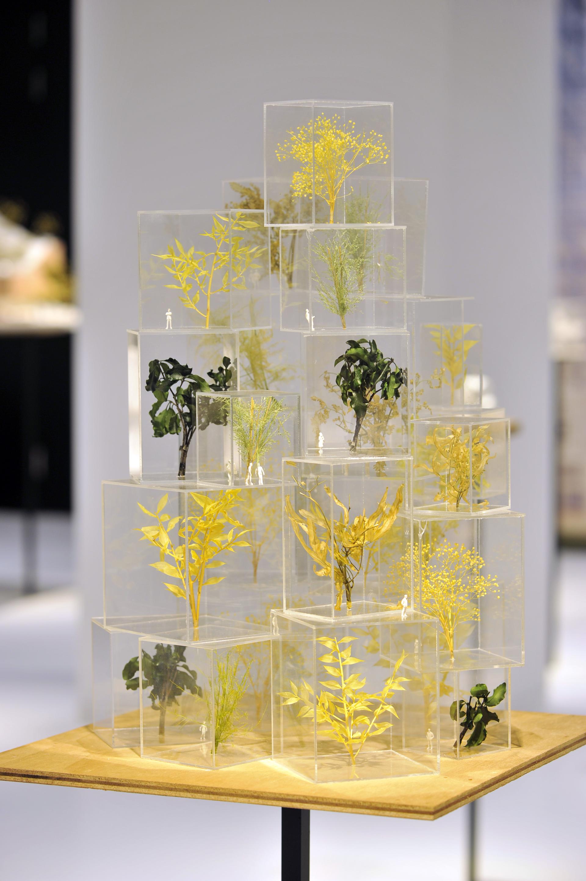 Exhibit of Sou Fujimoto’s architectural installation featuring preserved plants displayed in transparent blocks at Japan House London.