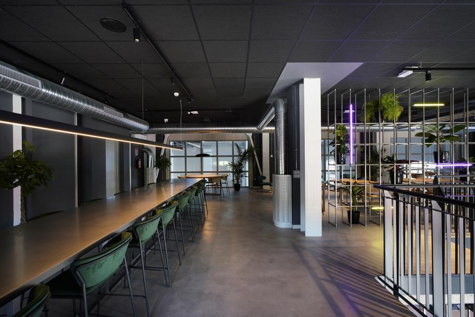 Modern interior of a redeveloped space featuring a long metal table, green chairs, and indoor plants in Bergamo.