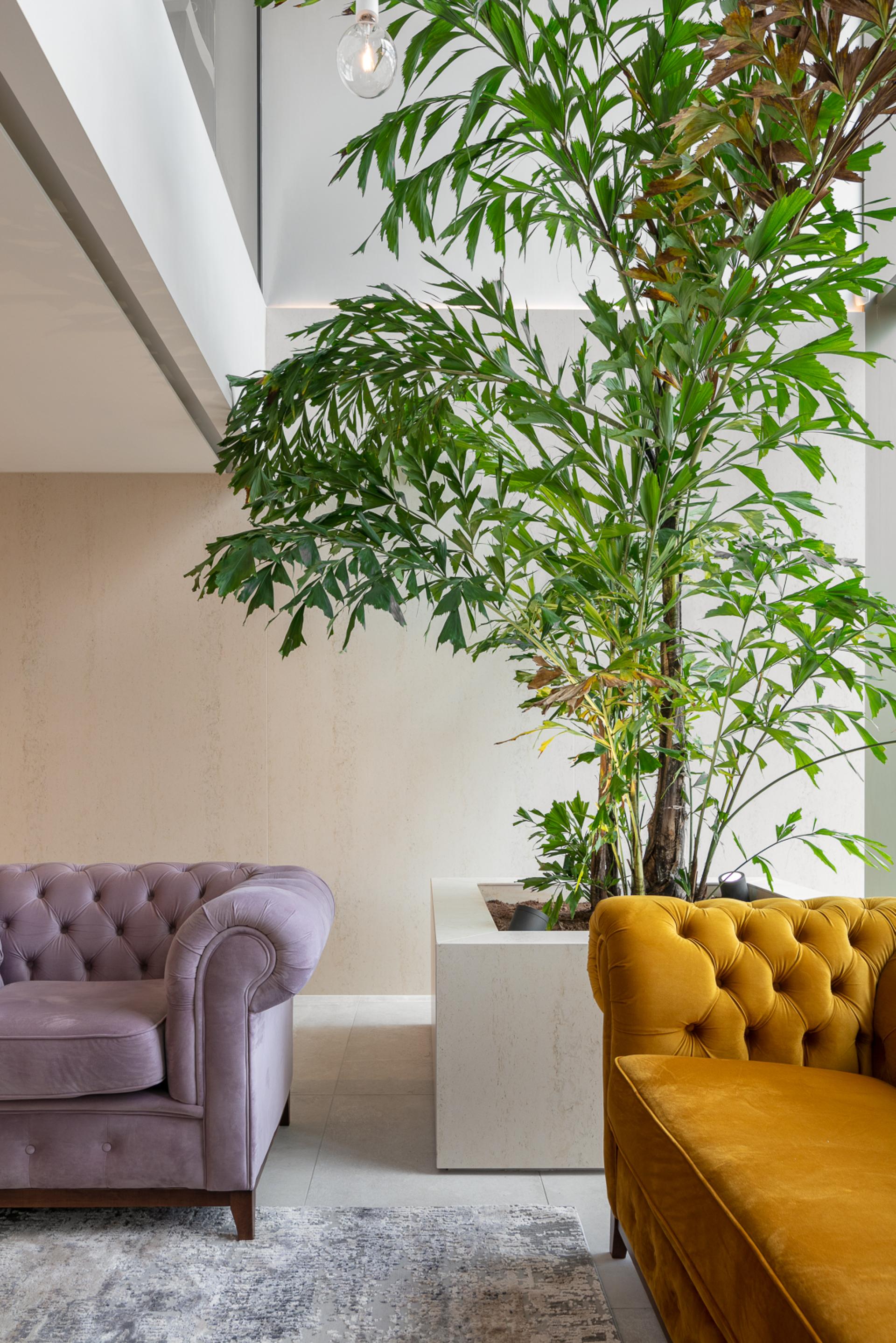Chic showroom interior featuring a vibrant yellow sofa and plush purple armchair surrounded by lush greenery and natural light.