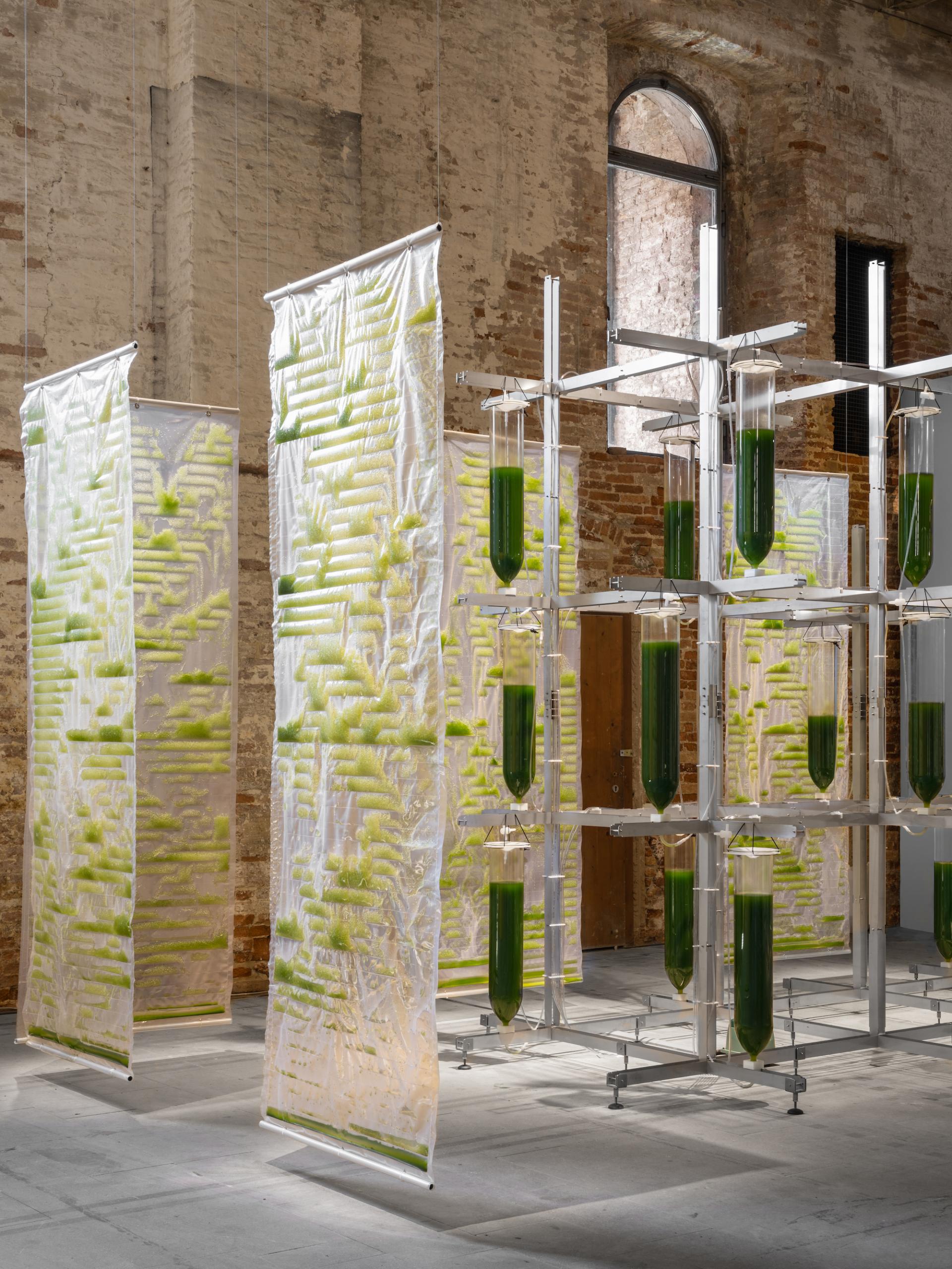 Biotechnological installation featuring translucent panels and green containers, exploring sustainable materials in architecture design.