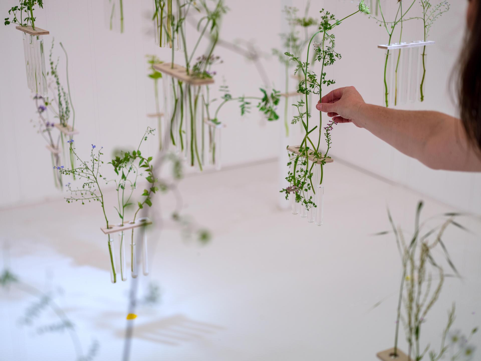 Charlotte Smithson interacts with delicate plant arrangements displayed in test tubes, highlighting her artistic connection to nature.