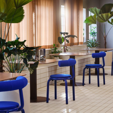 Brightly designed flexible workspace featuring blue chairs, wooden tables, and abundant greenery near large windows.