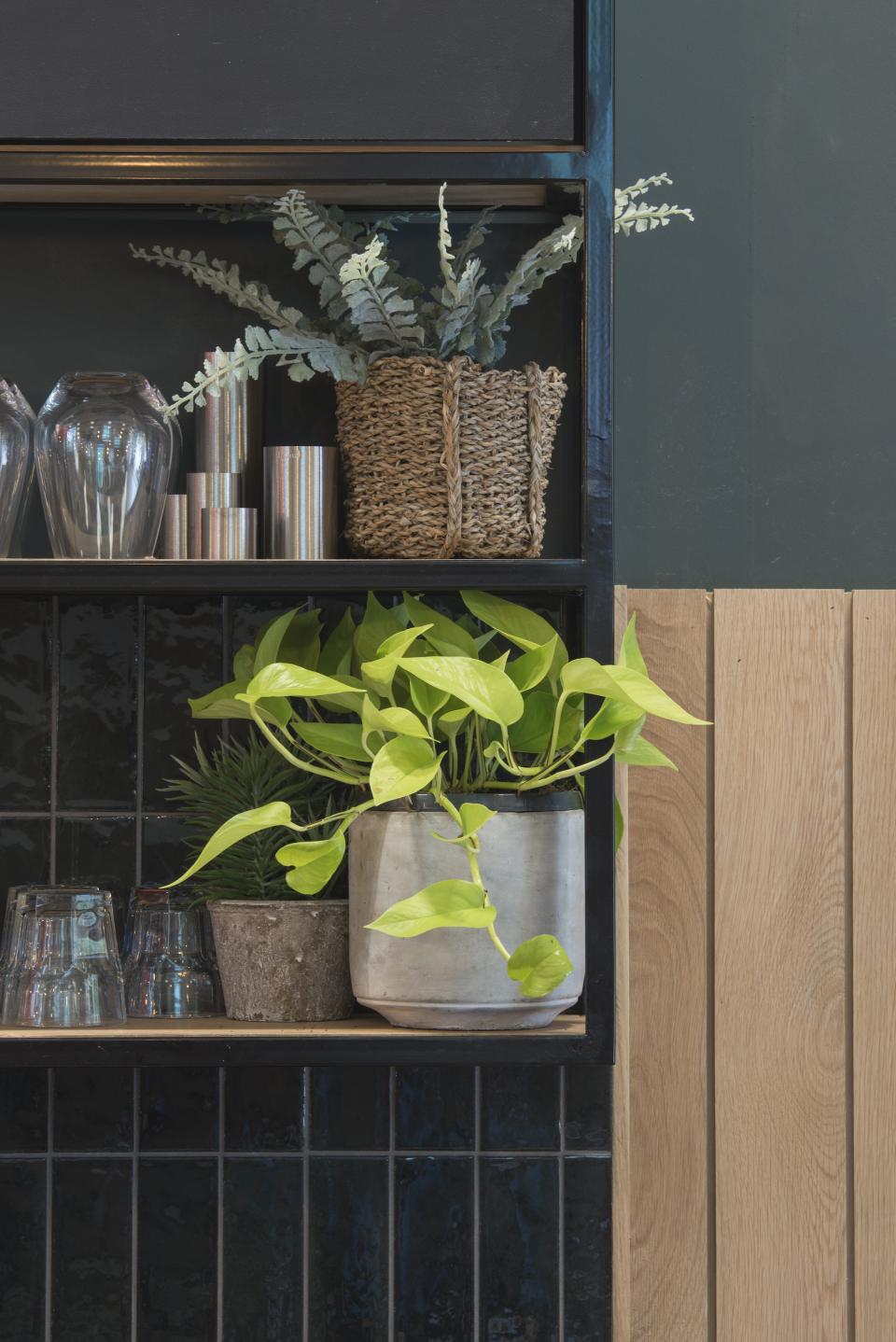 Bright green plants and glassware displayed on modern shelves at the Spicer & Cole concession in Bristol's Royal West of England Academy.