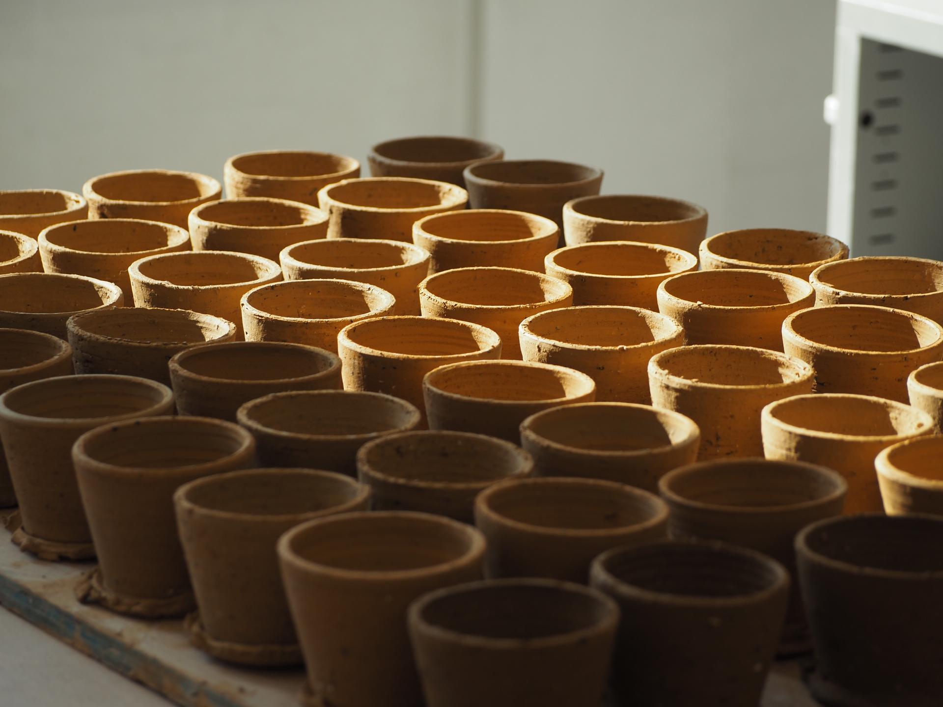 Clay pots in various sizes arranged neatly, showcasing the craftsmanship of potter Bruno Schooling.