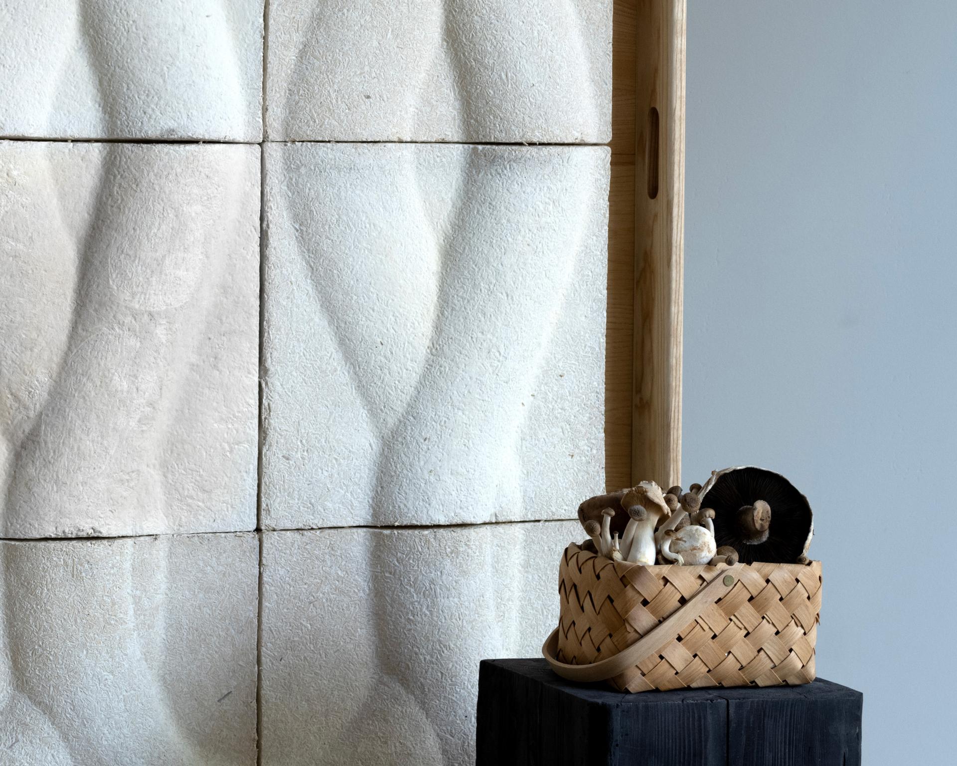 Biodegradable biomaterials displayed alongside a woven basket filled with assorted mushrooms, emphasizing sustainable product design.