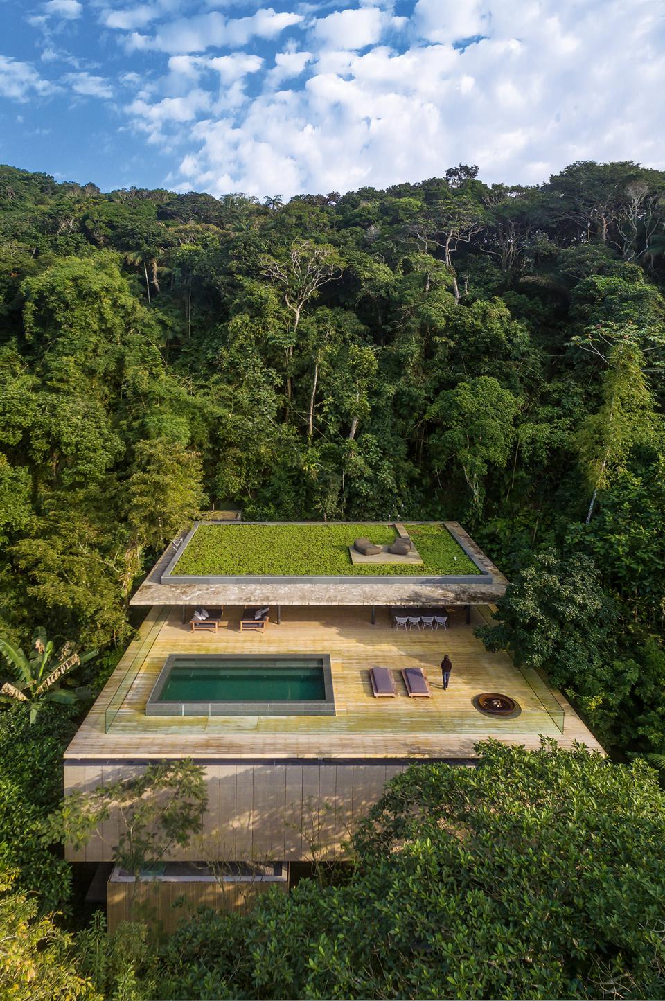 Modern eco-friendly villa nestled in lush rainforest, featuring a pool and green roof, inviting peaceful retreat.