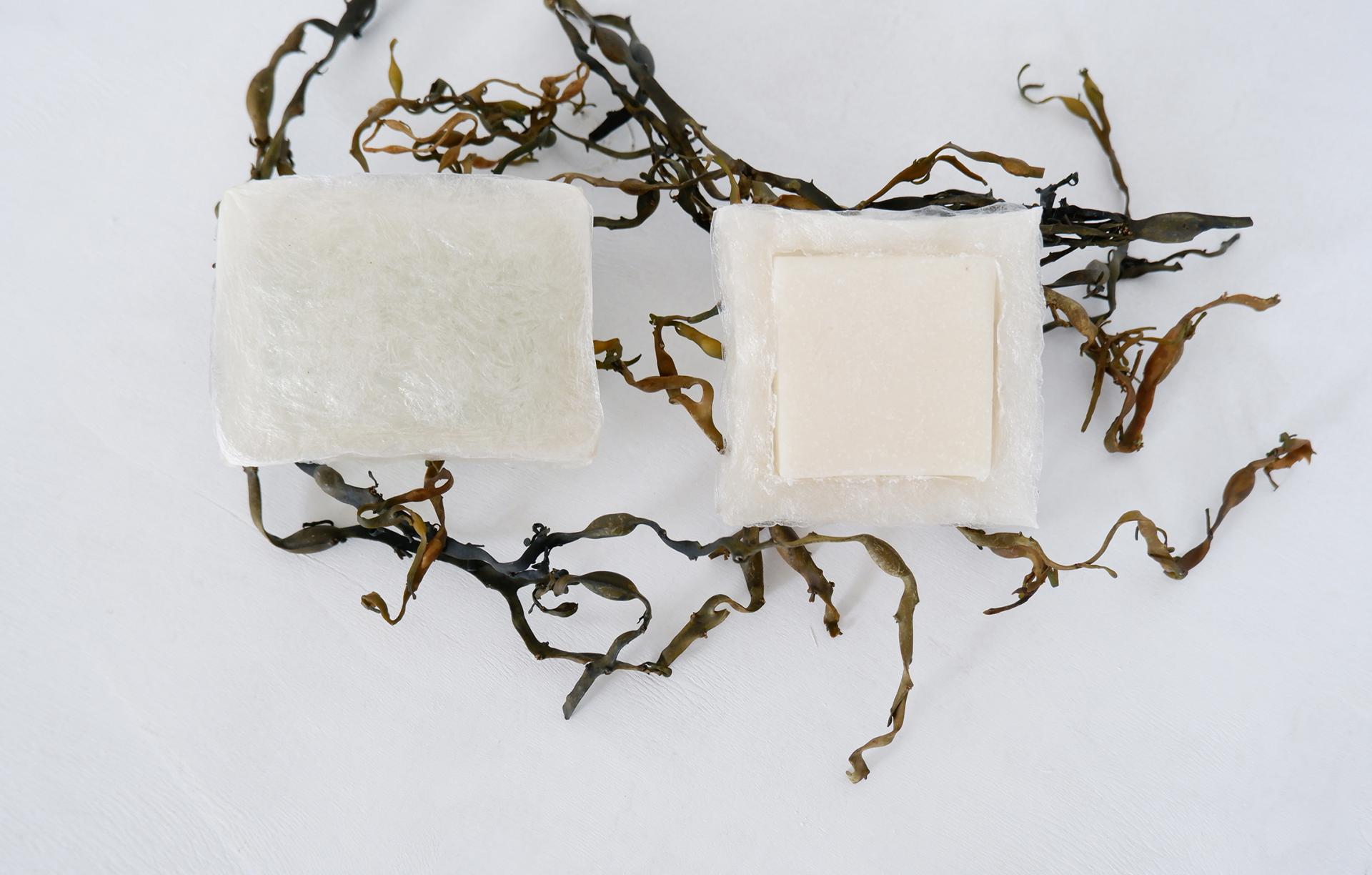 Biodegradable packaging samples surrounded by seaweed, showcasing sustainable design innovations from Dutch Design Week 2022.