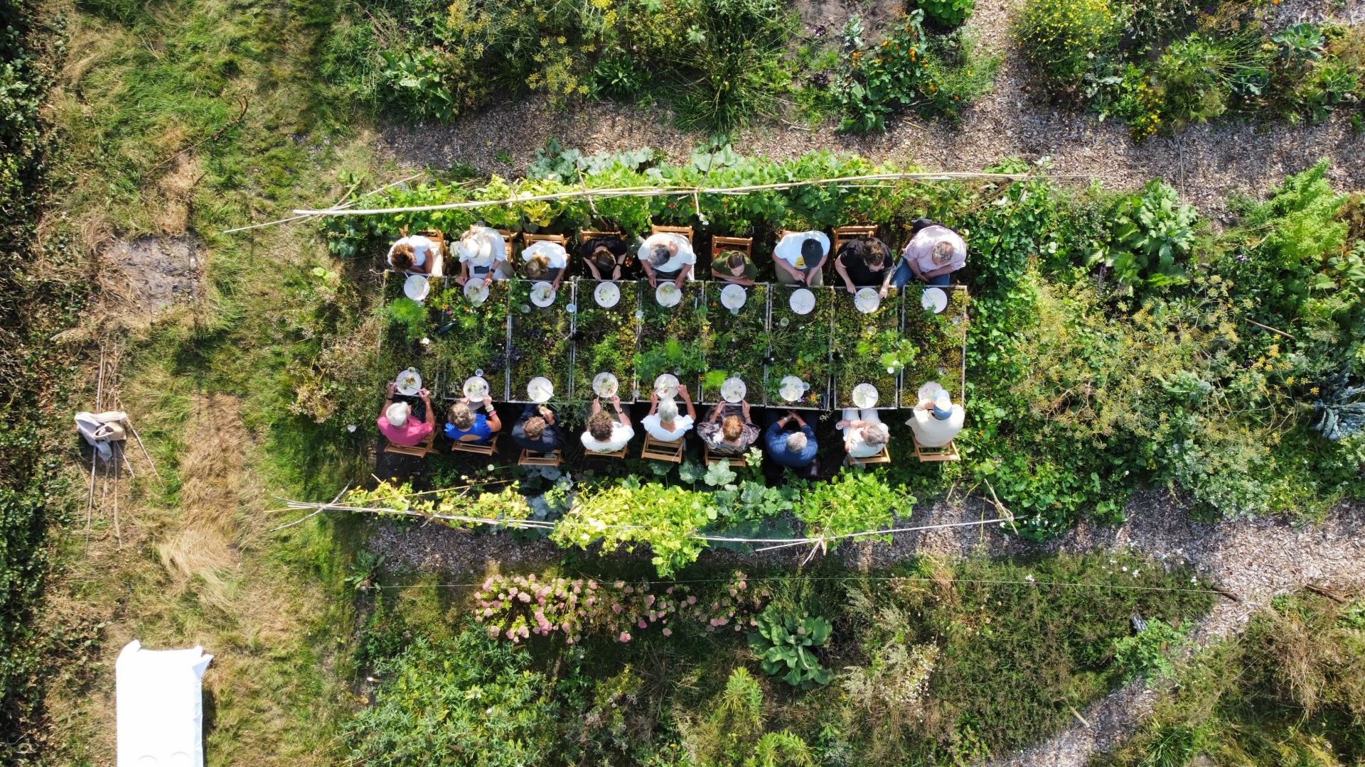 Guests enjoy a unique dining experience surrounded by lush greenery at Dutch Design Week 2024.