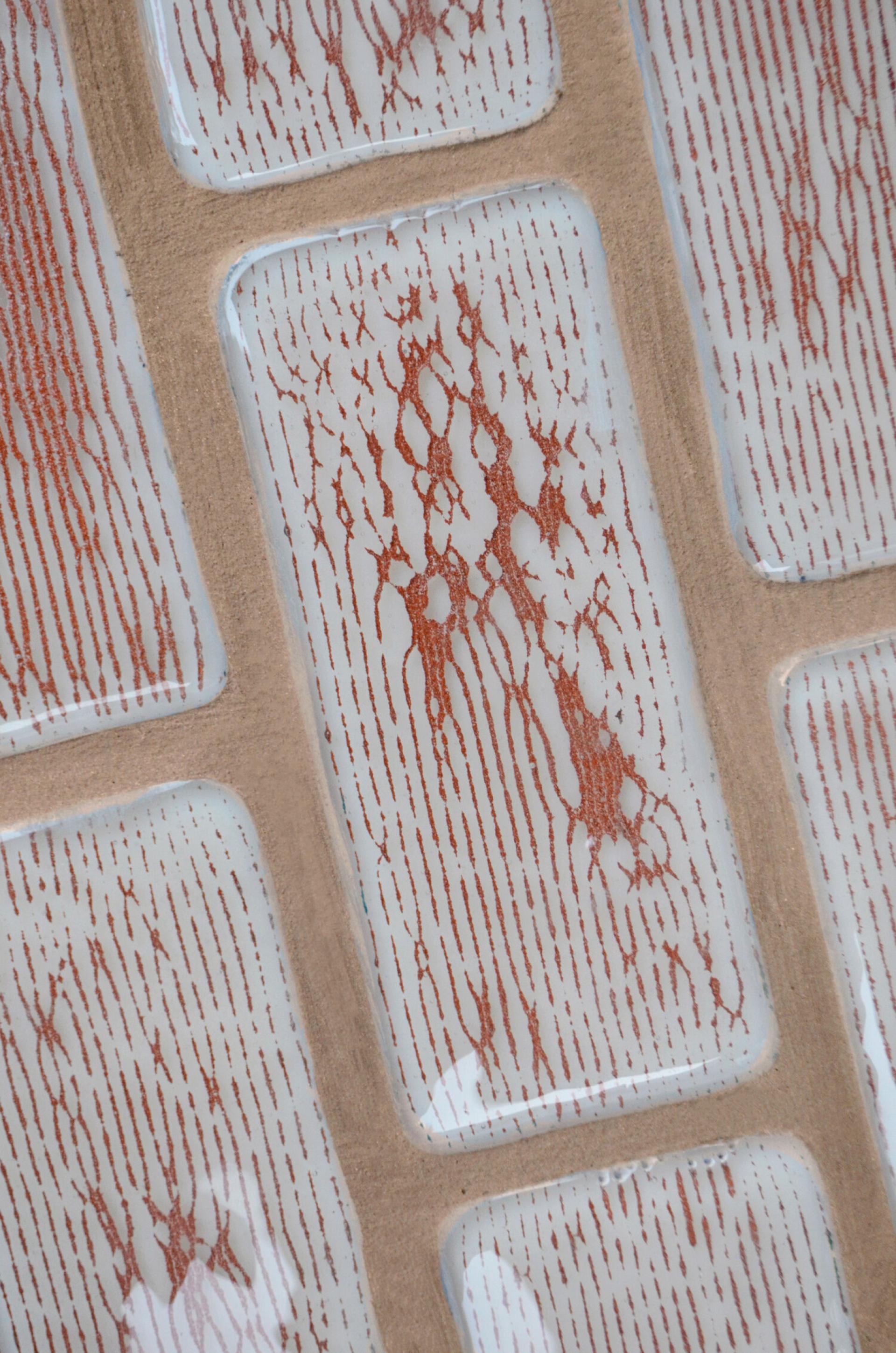 Biomaterial pattern showcasing organic textures, representing sustainable design and innovation in feedstock transformation by Bioforcetech.