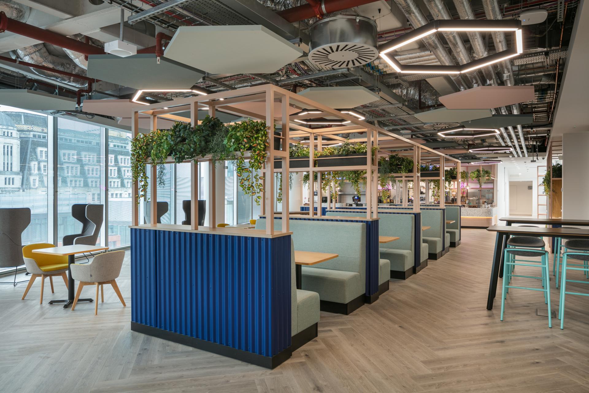 Modern office interior featuring collaborative workspaces, greenery, and a bright design at Michael Laird Architects' Manchester location.