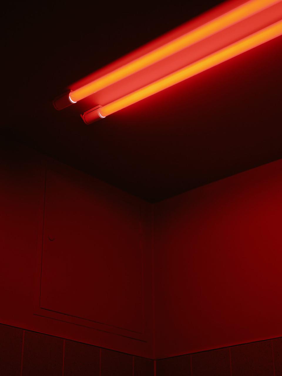 Vibrant red neon lights illuminate a corner of Sedbergh School's renovated Queens Hall, enhancing its modern aesthetic.