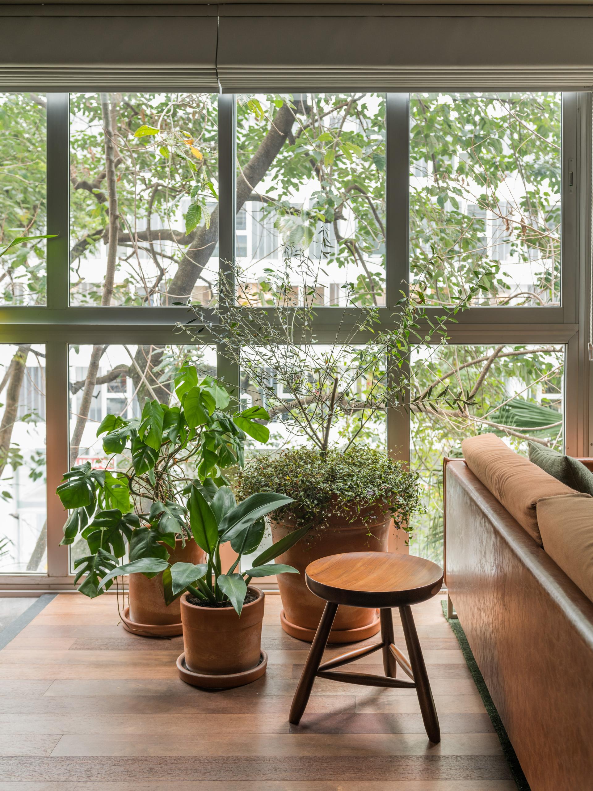 Natural indoor setting featuring potted plants, a wooden stool, and a cozy sofa, with nature visible through large windows.