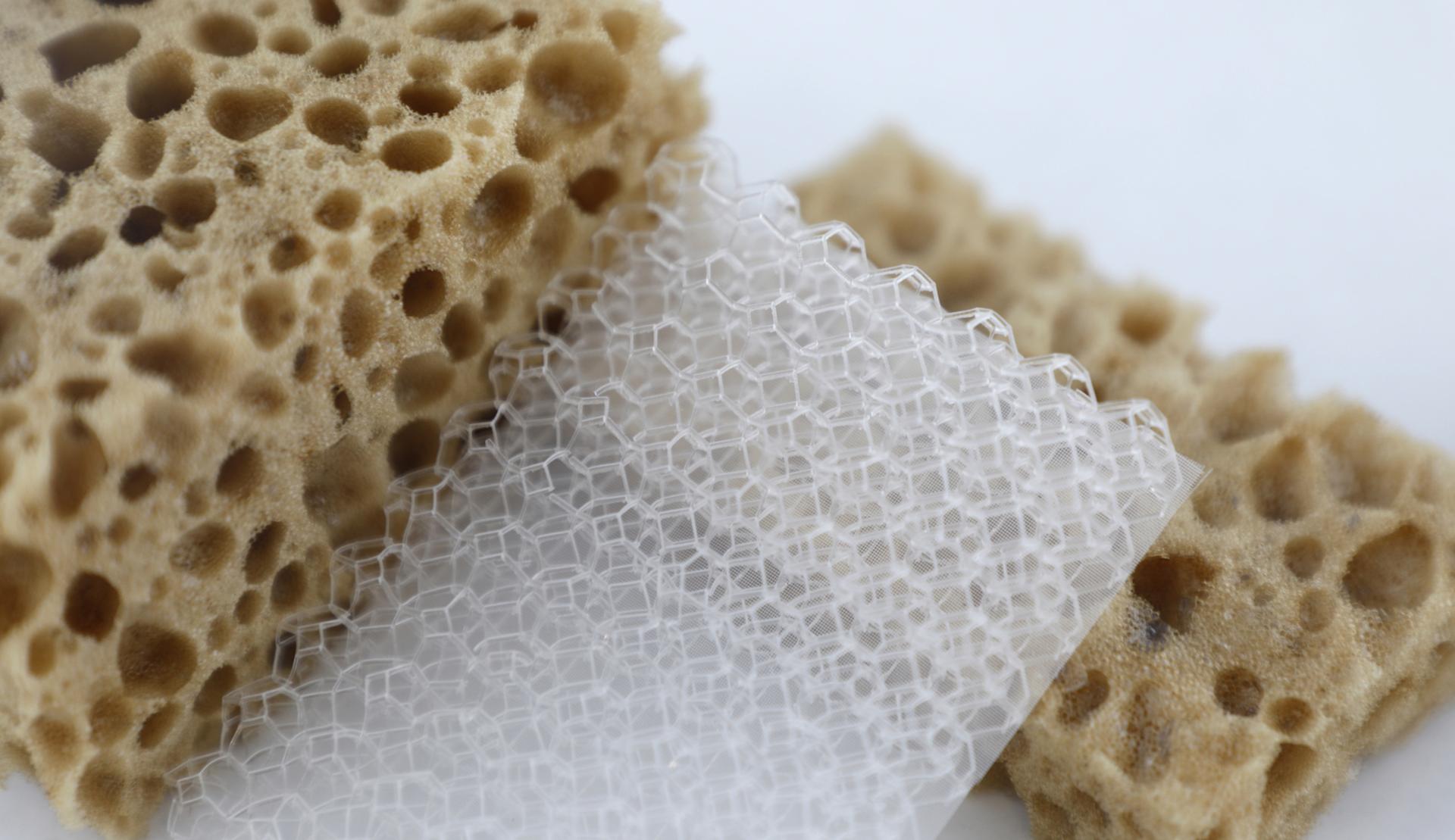 Innovative biodegradable materials showcasing porous structures and hexagonal design, representing advancements in sustainable material technology.