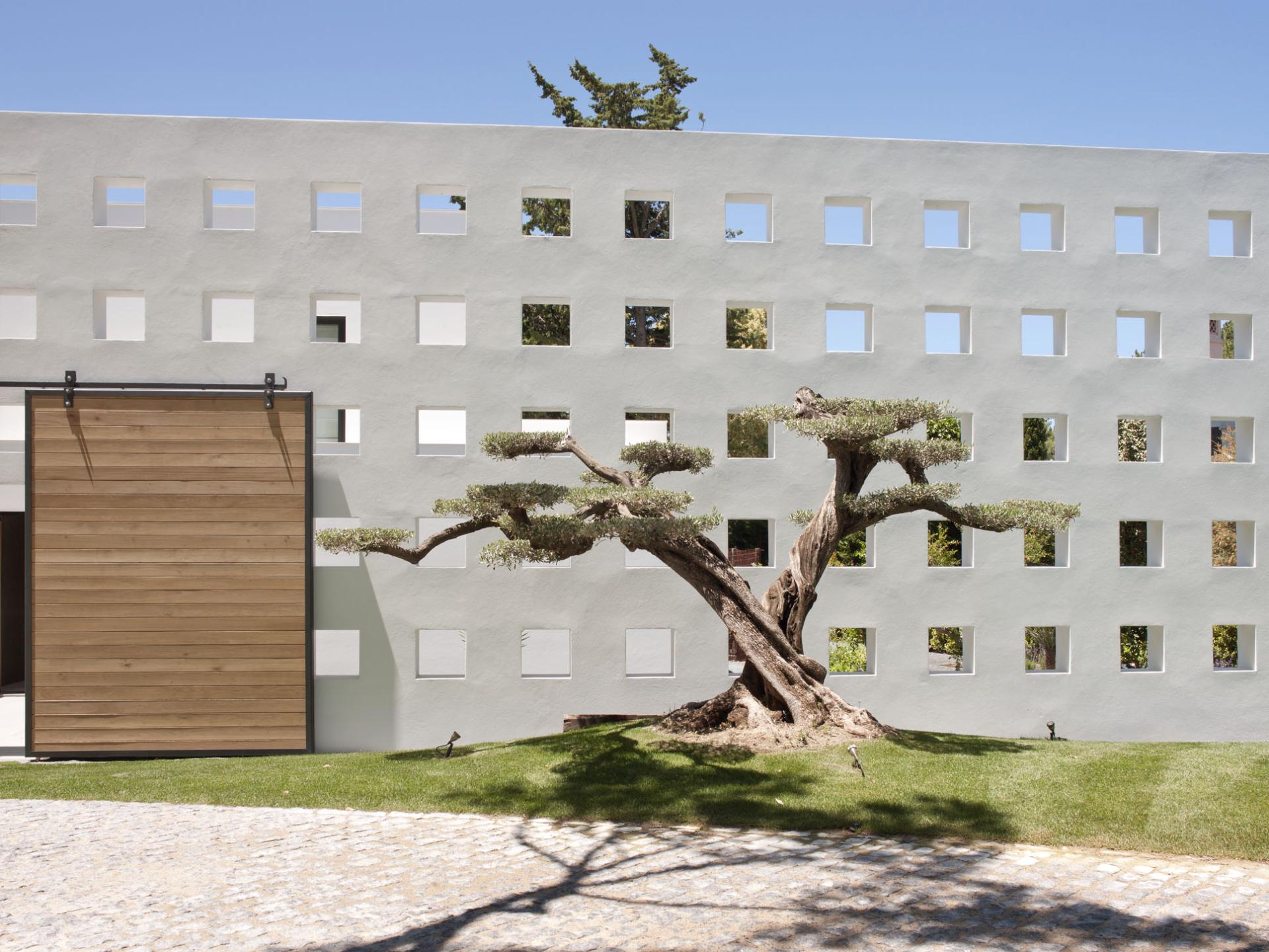 Modern architectural design showcasing a minimalist wall with square cutouts, featuring a distinct olive tree in the foreground.