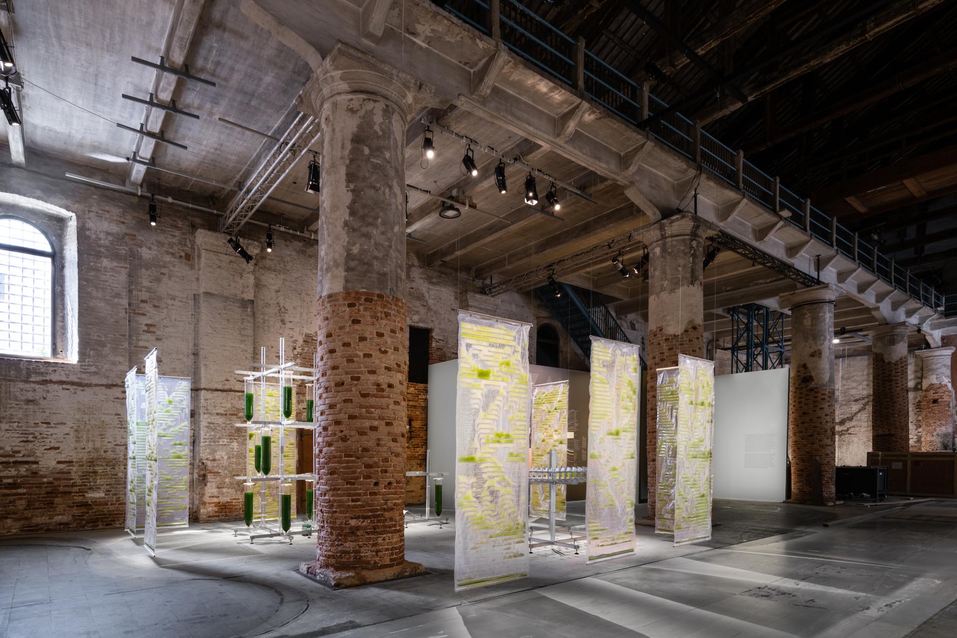 Biotech architecture installation featuring transparent panels and green organic elements in an industrial space.