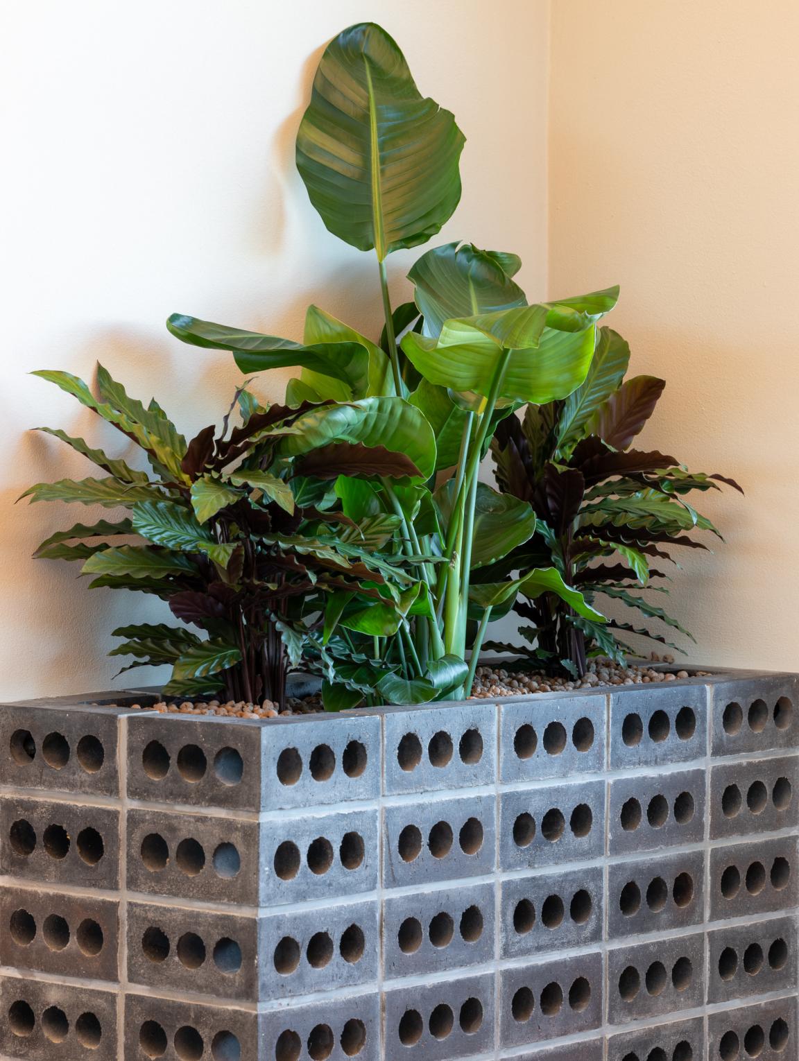 Sheila Bird's new HQ for Stockport based contractor TMT playfully celebrates The Art of Construction.