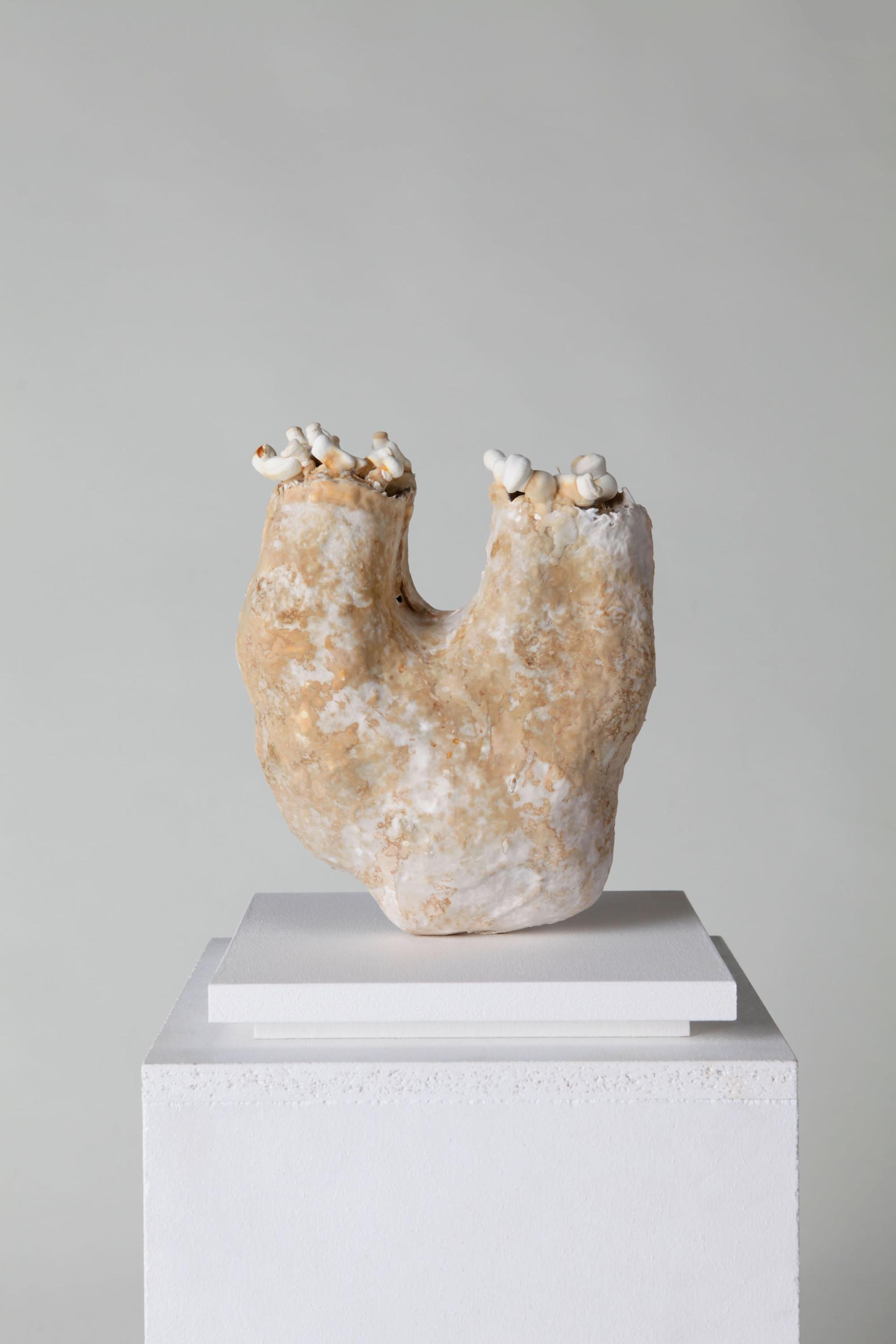 Sculptural artwork by Georgie Gerrard, showcasing a unique design inspired by textiles and bio-art.