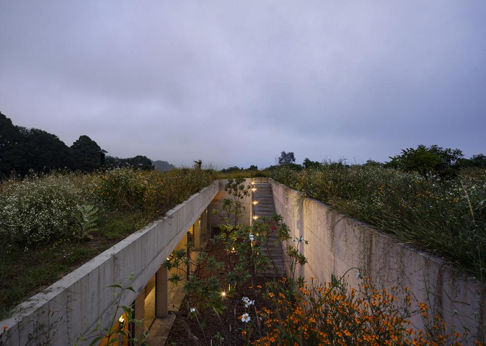 Casa Aguacates features a unique architectural design, blending seamlessly with the surrounding wildflowers and lush greenery in the Mexican forest.