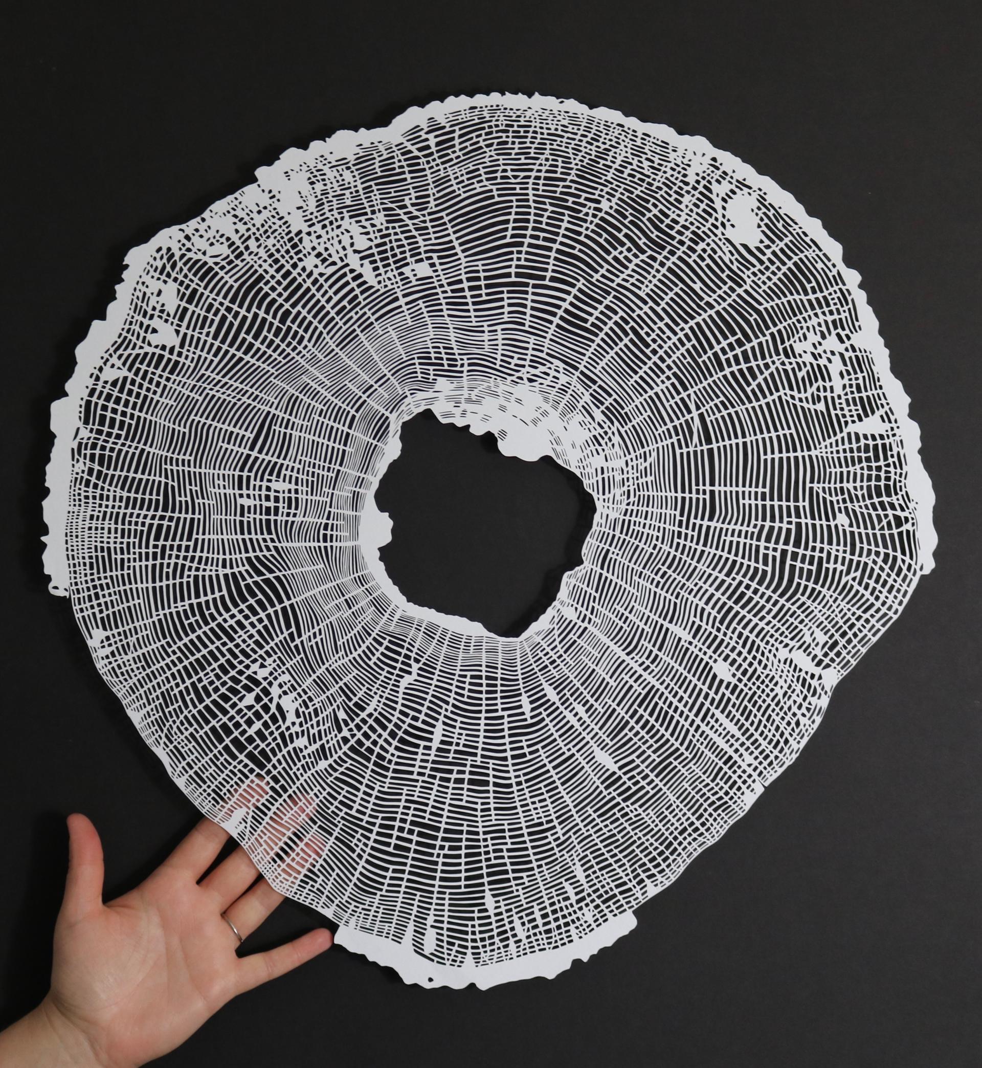 Intricately cut paper representation of an ash tree cross-section, highlighting the effects of ash dieback in Scotland.