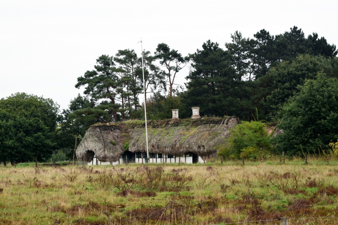 Kathryn Larsen Seaweed Thatch - Seaweedrooflæsø