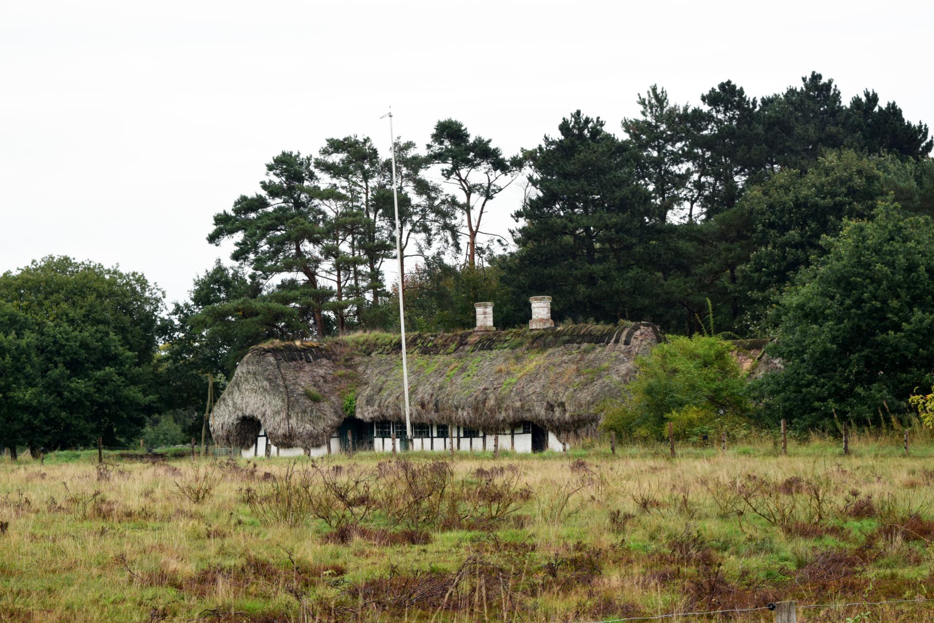 Traditional Danish house with a thatched roof surrounded by trees, showcasing sustainable architecture influenced by natural materials.